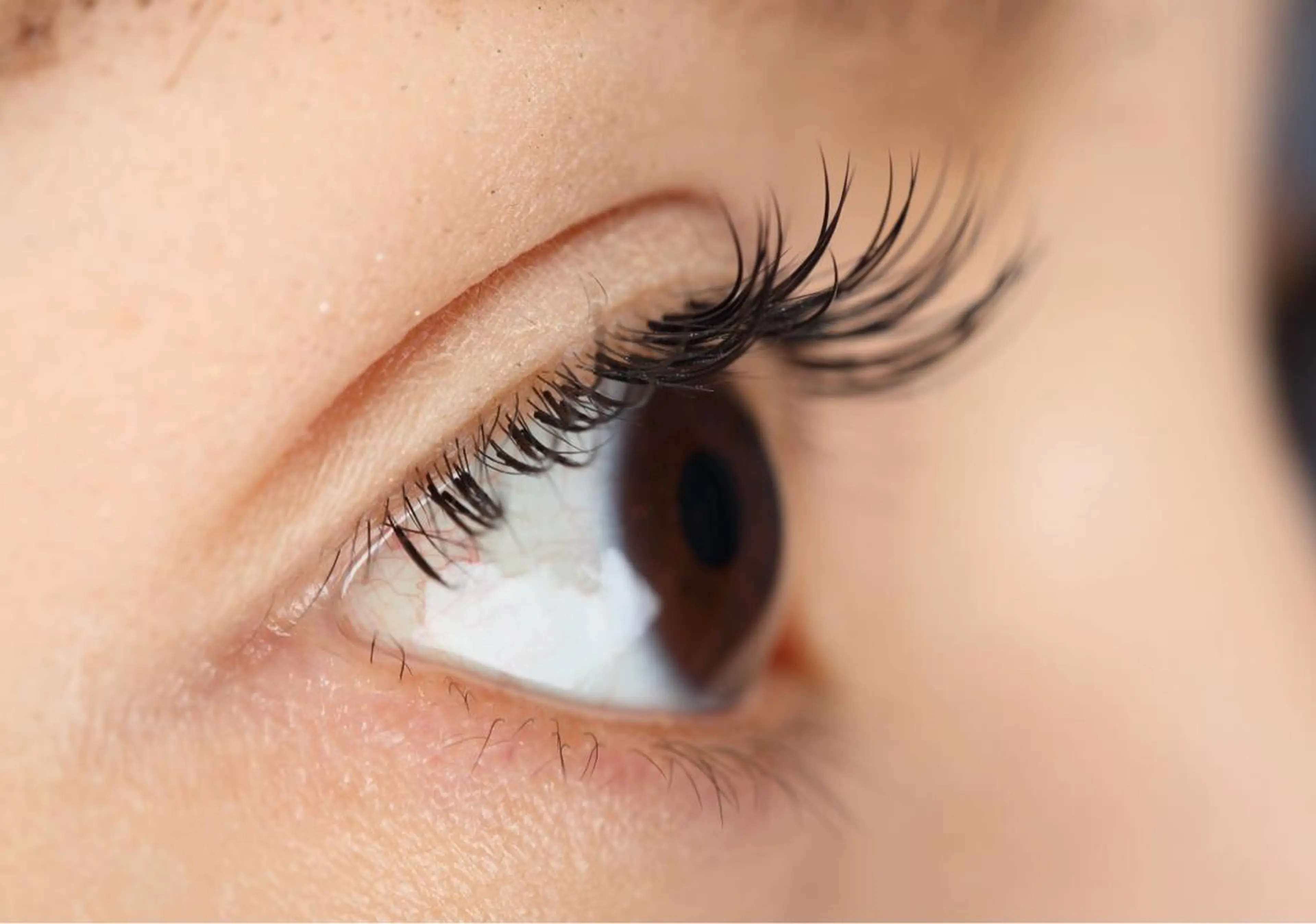 マツエク・マツパ 家永 沙緒里のマツエク・マツパデザイン