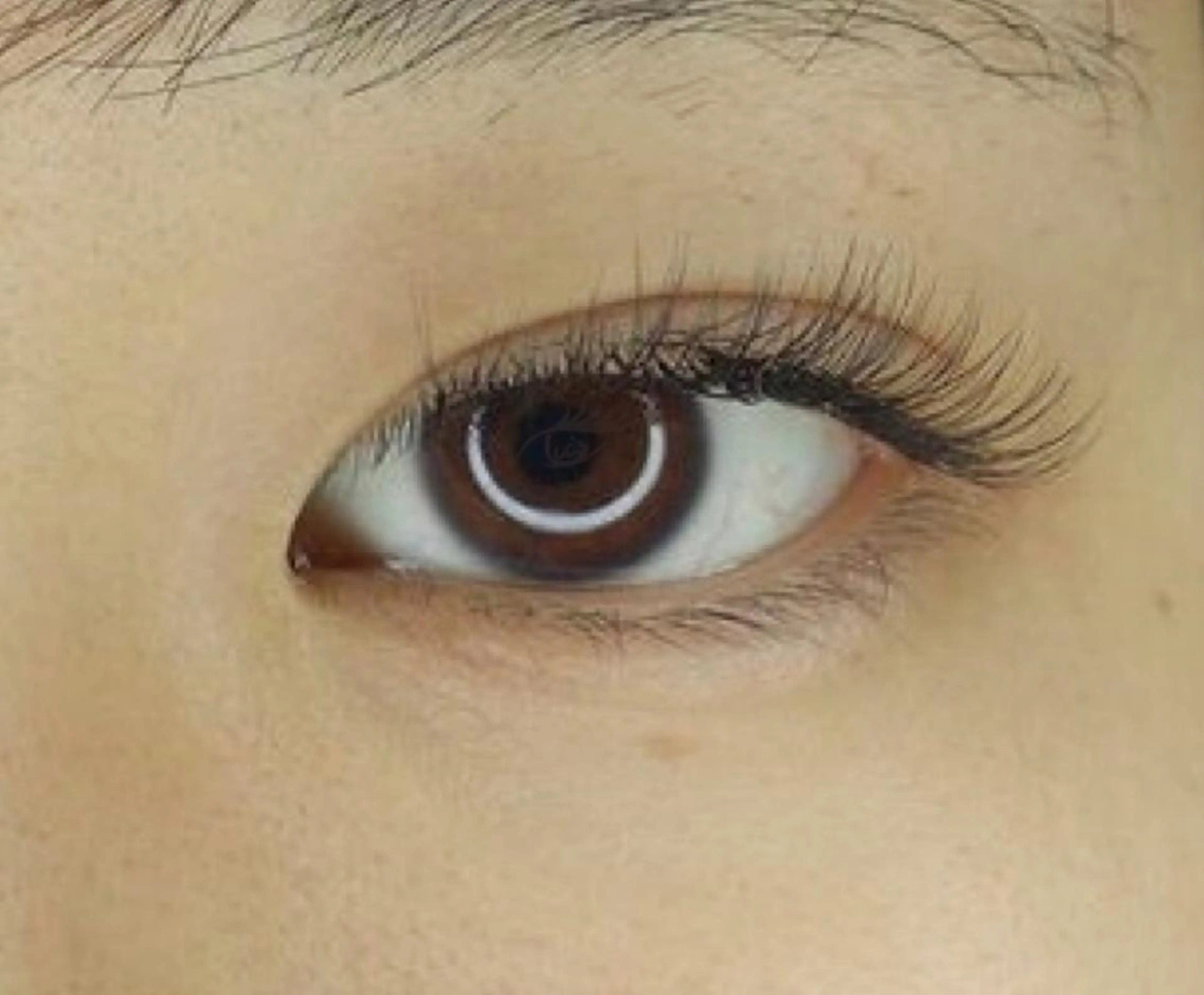 マツエク・マツパ ルアナプラス ひばりのマツエク・マツパデザイン