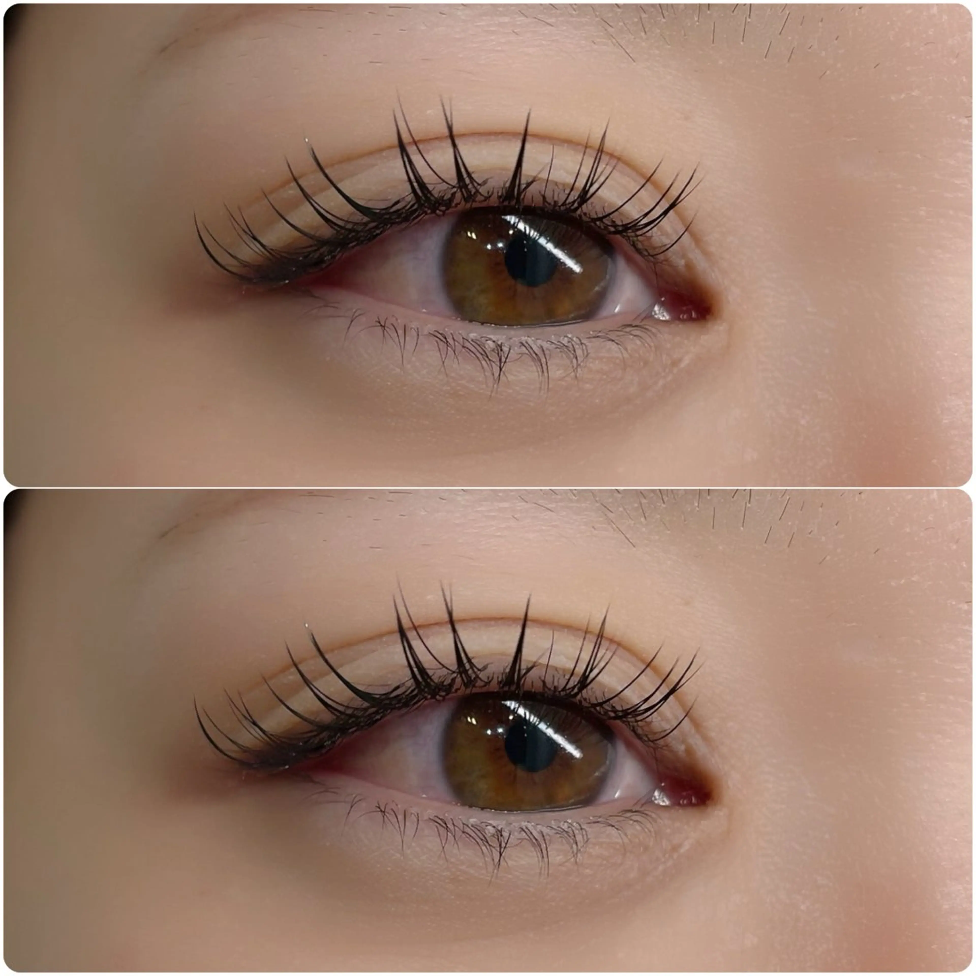 マツエク・マツパ Cカール フラットラッシュ EYELA Mizukami❄️のマツエク・マツパデザイン