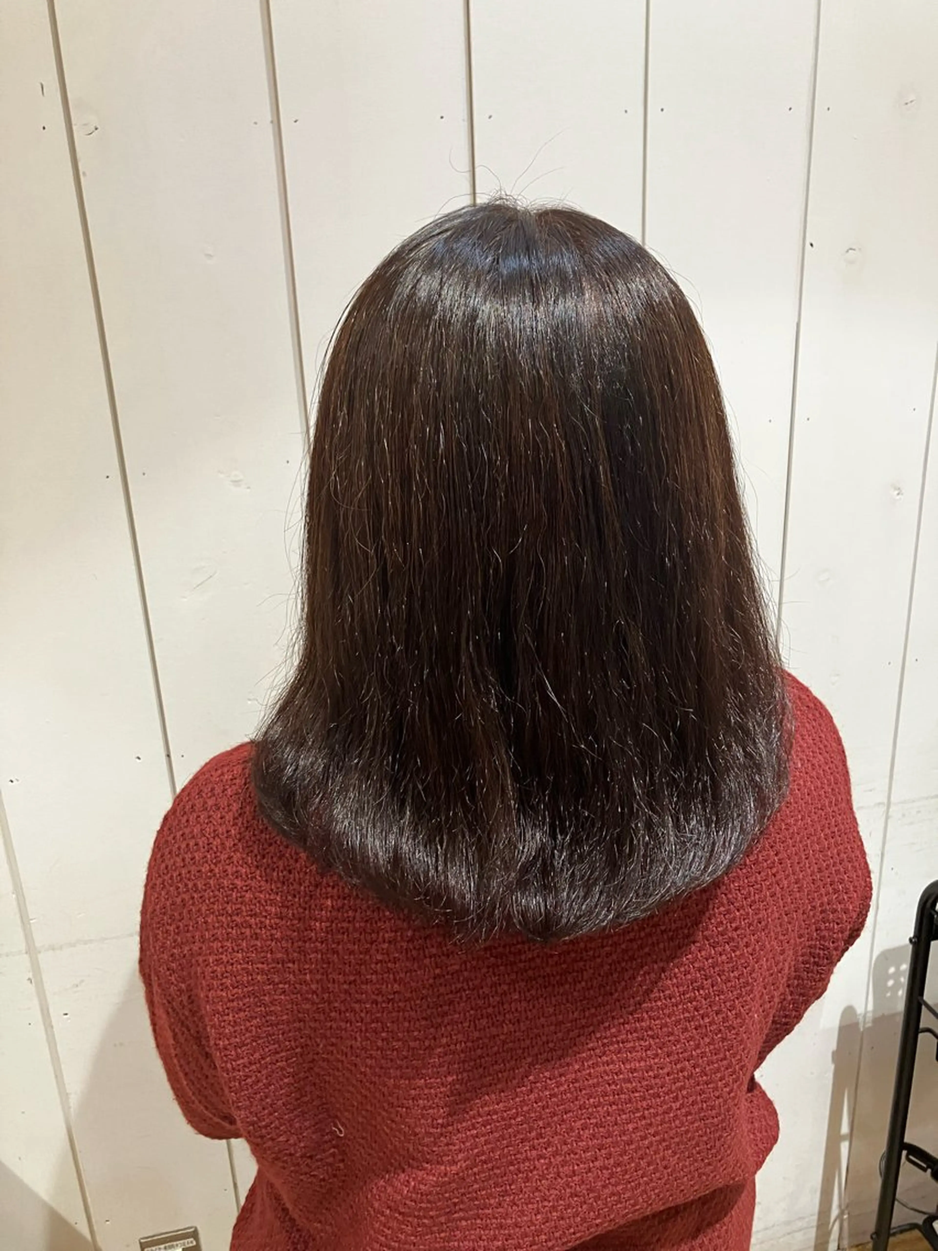 ミディアム カラー 暖色・寒色カラー / 関根涼太のヘアスタイル