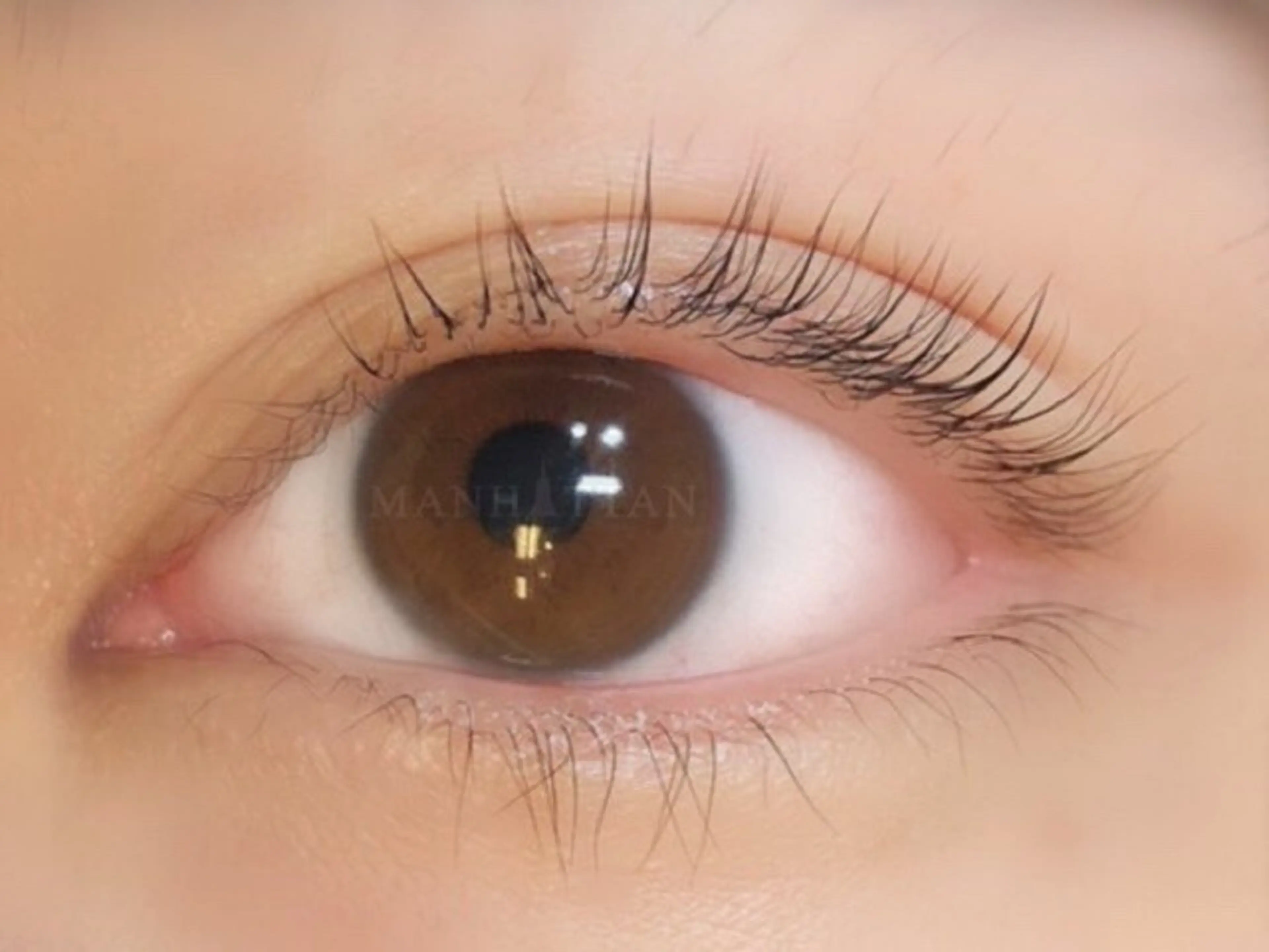 マツエク・マツパ 鈴木 朝子のマツエク・マツパデザイン