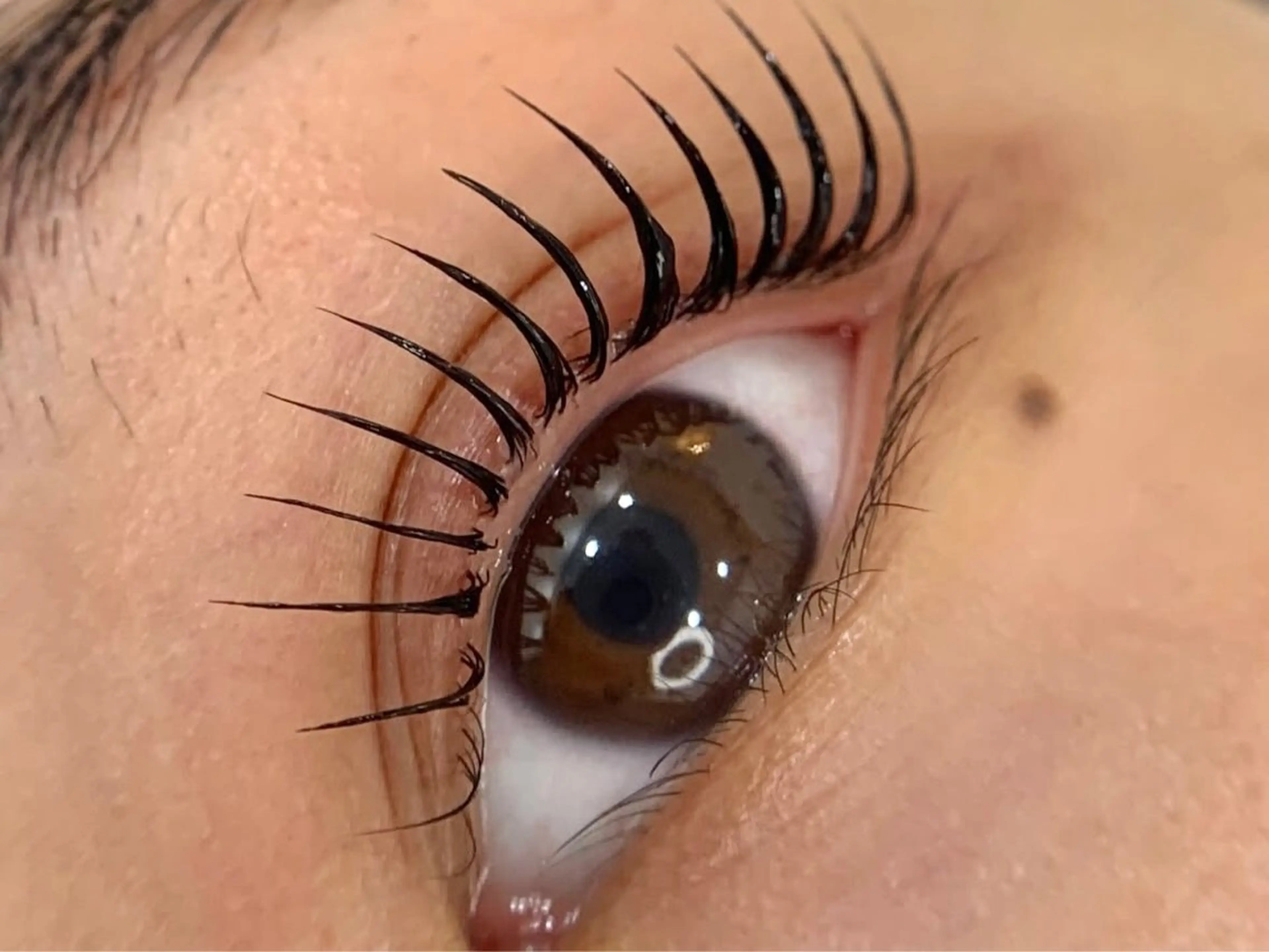 マツエク・マツパ マツパ Max eyelash池袋のマツエク・マツパデザイン