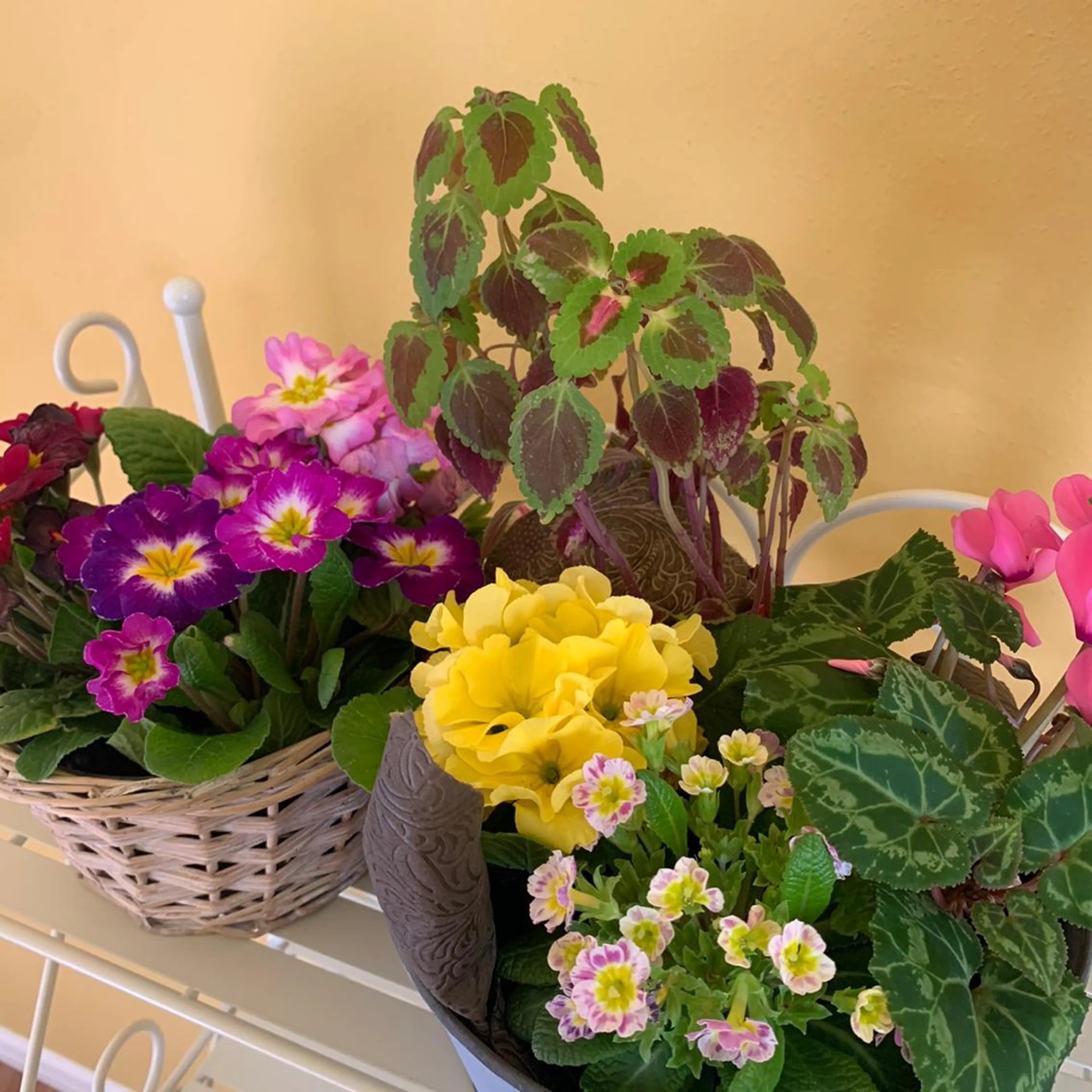 POLA大倉山 斎藤のエステ・リラクイメージ