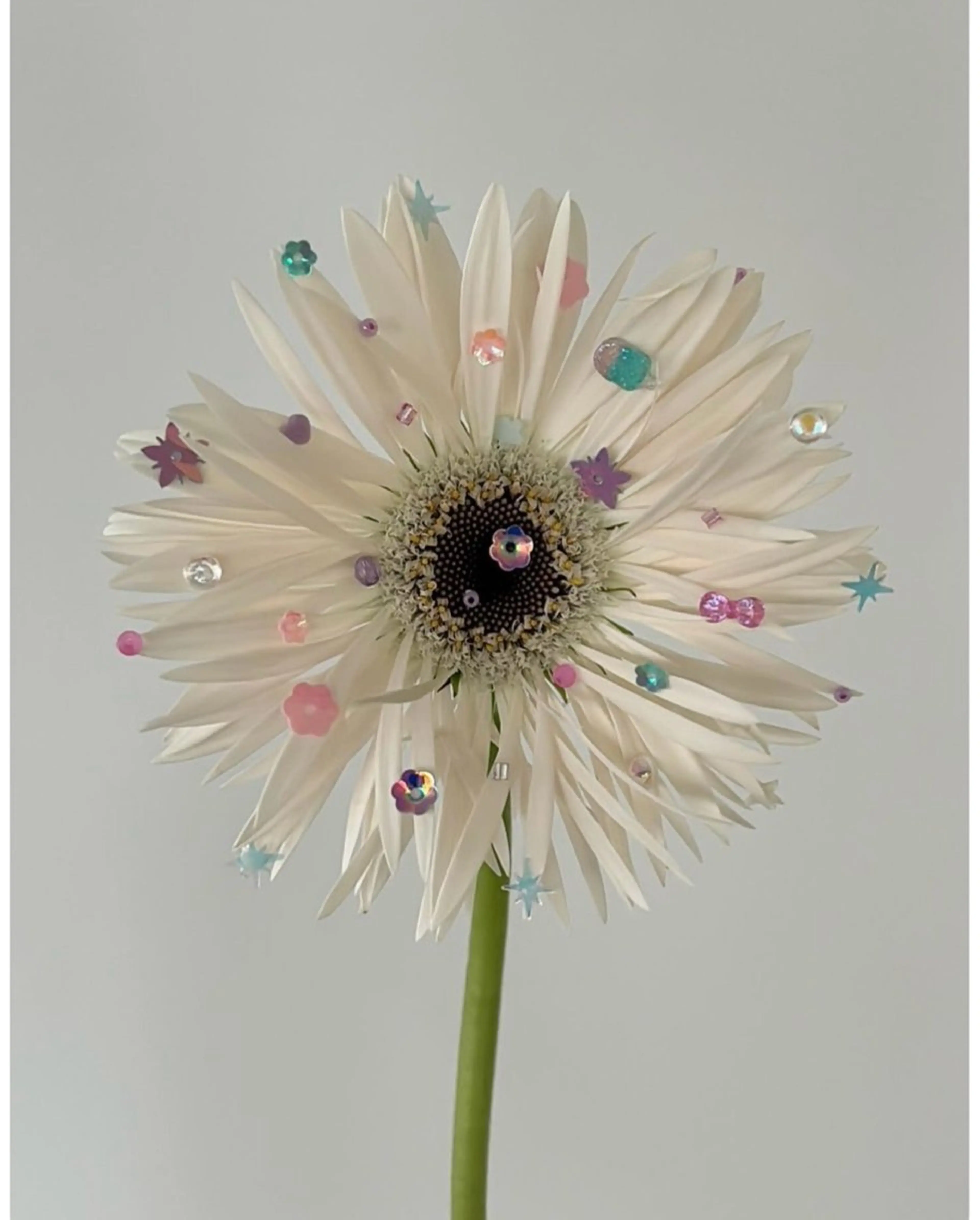 ショート メンズ メンズカットモデル 募集中🌟しおんのヘアスタイル