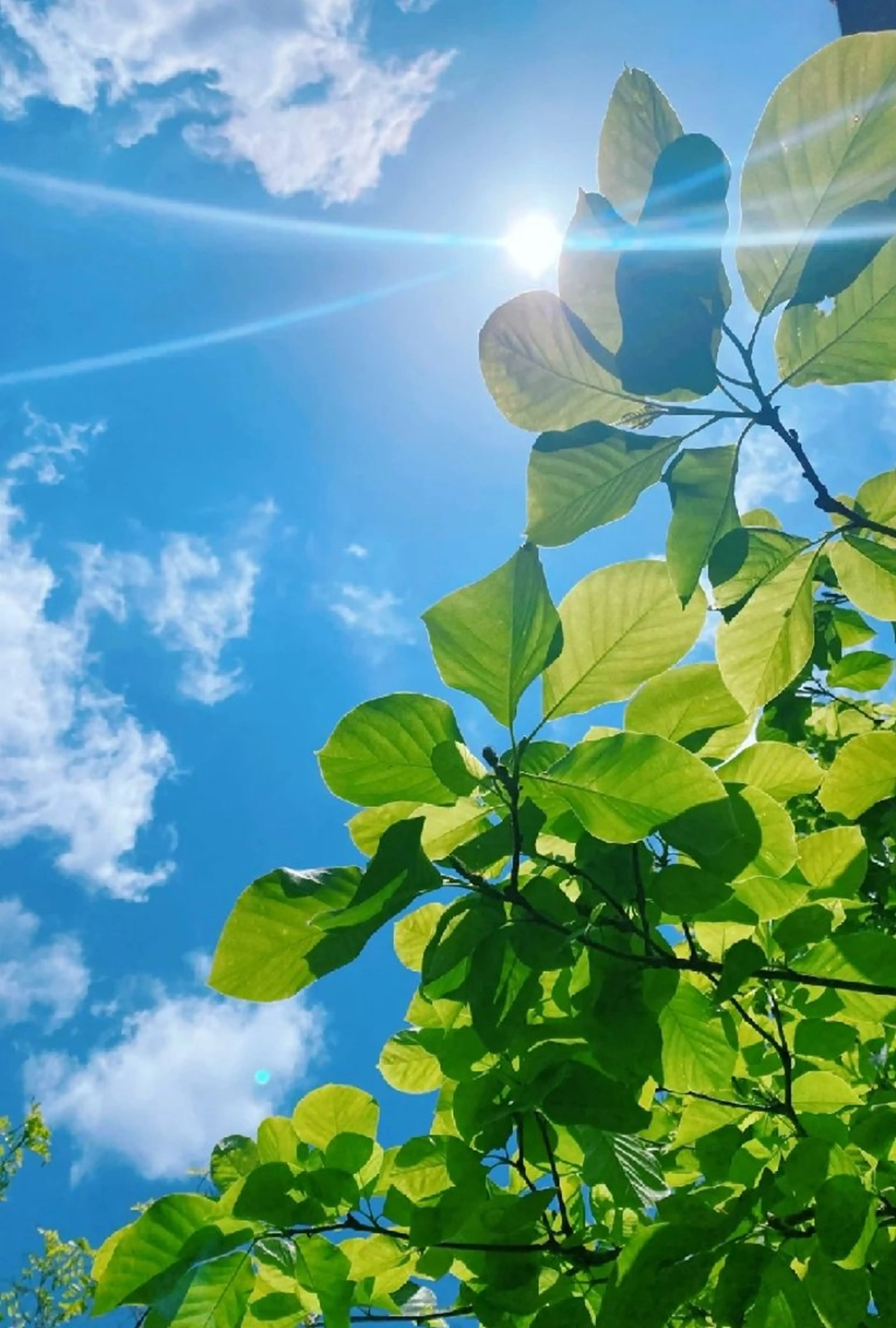 脱毛 aliaハーブ水光店 エステティシャン募集のエステ・リラクイメージ