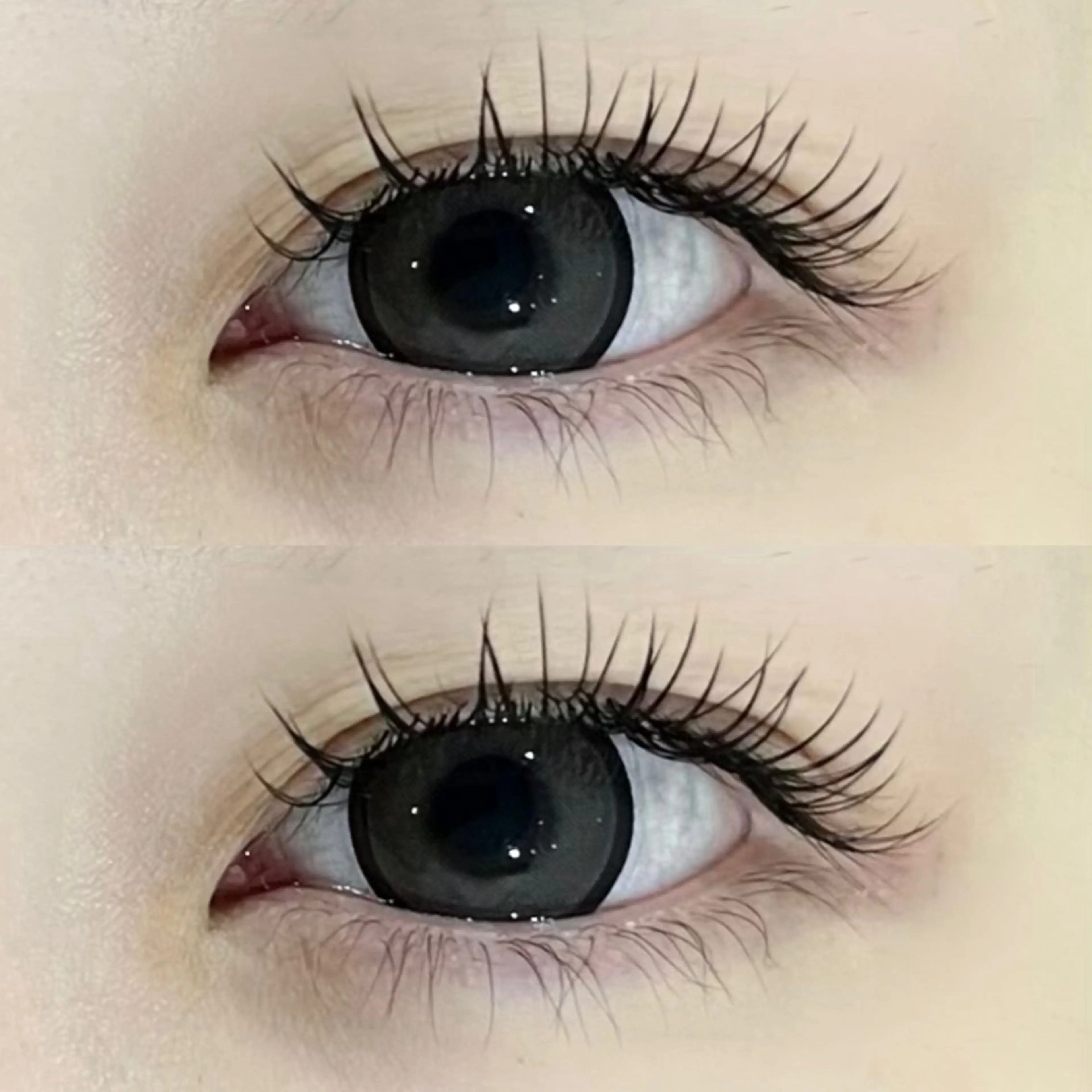 当日予約❗️✦.°LEDフラットラッシュ120本🎀【オフなし】の写真