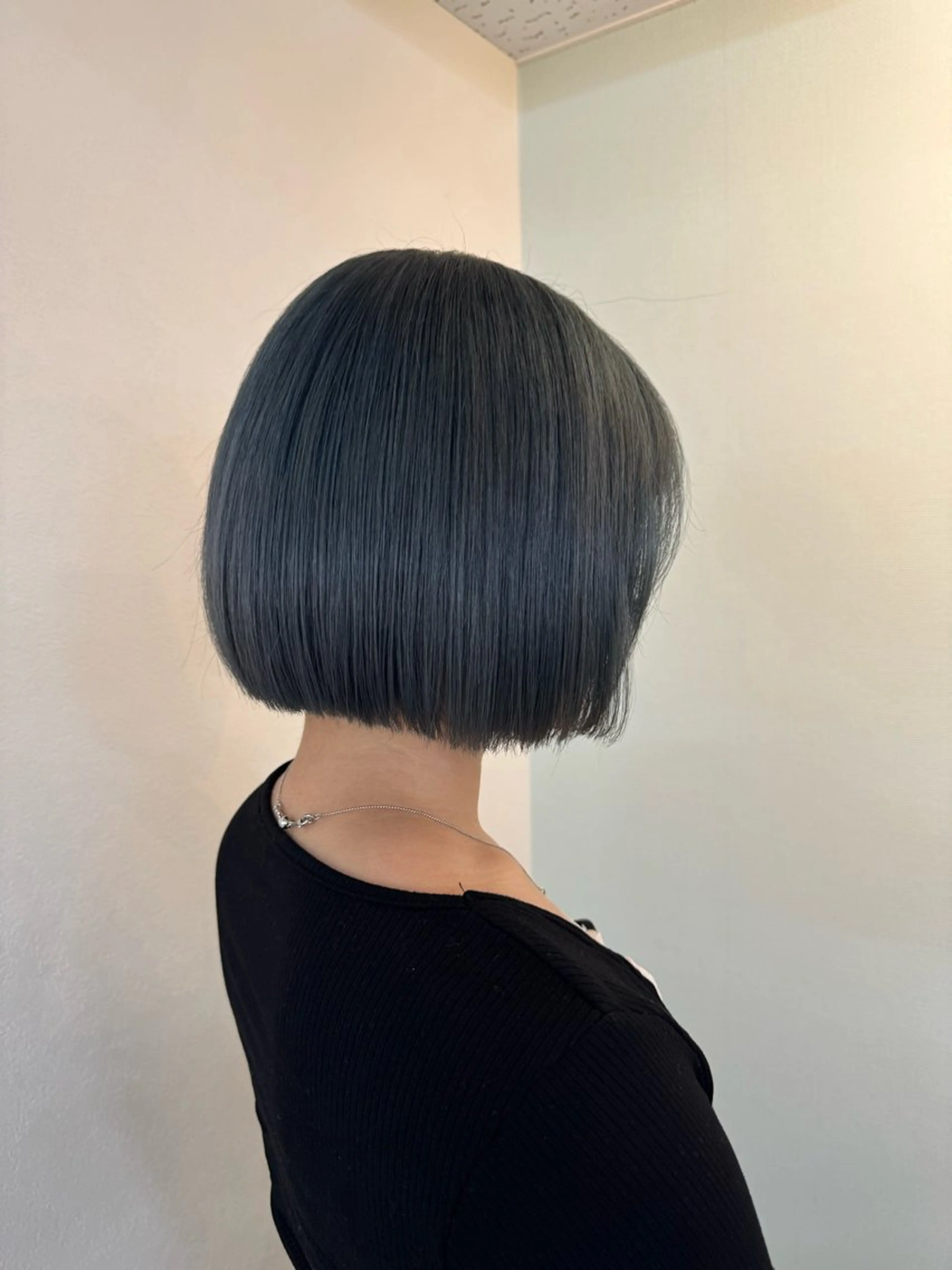 ショート ヘアカラー 🧤ル ウ🧤のヘアスタイル