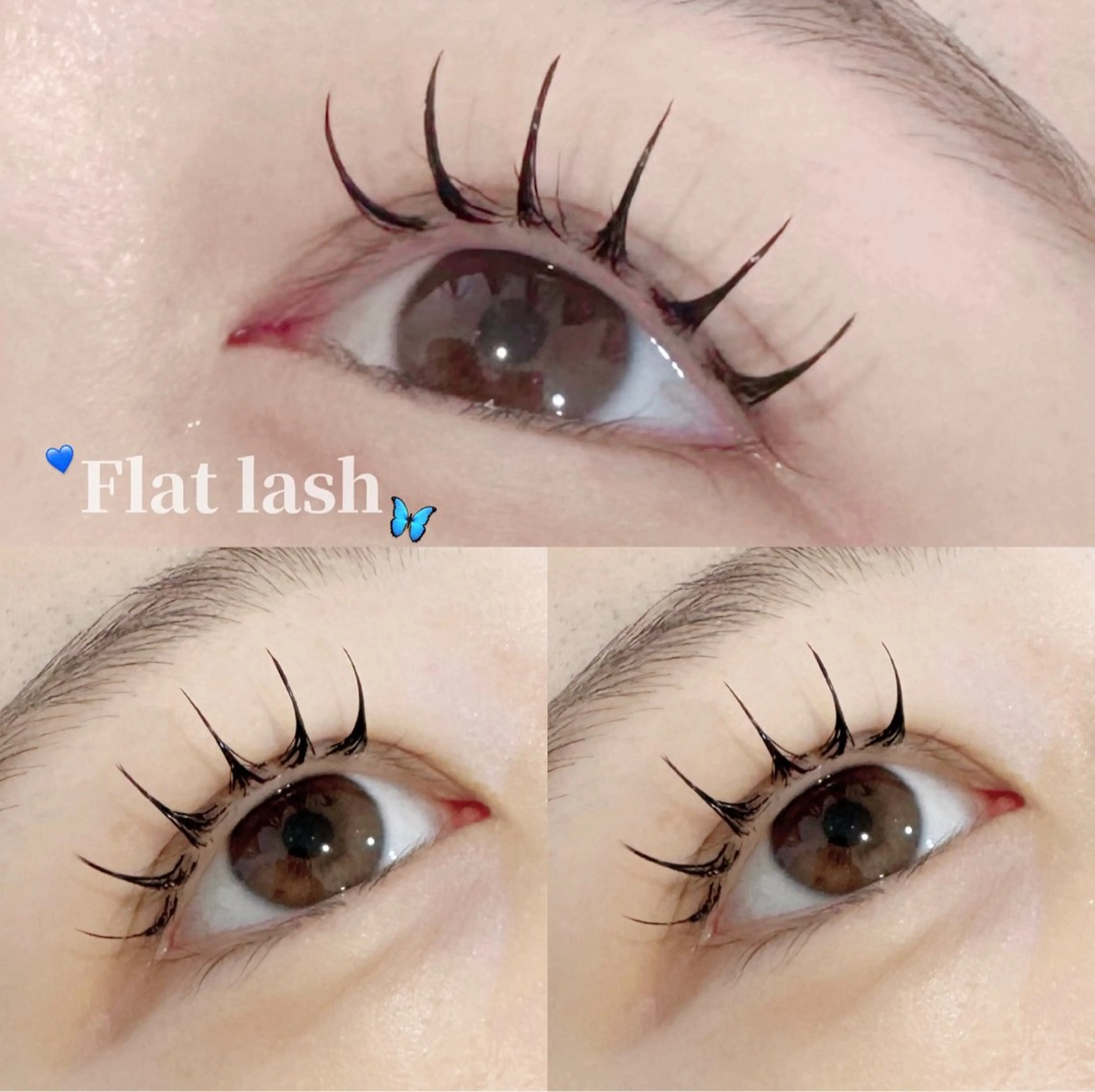 《リピーター様限定》付け足し フラットラッシュ𝟔𝟎本♥の写真