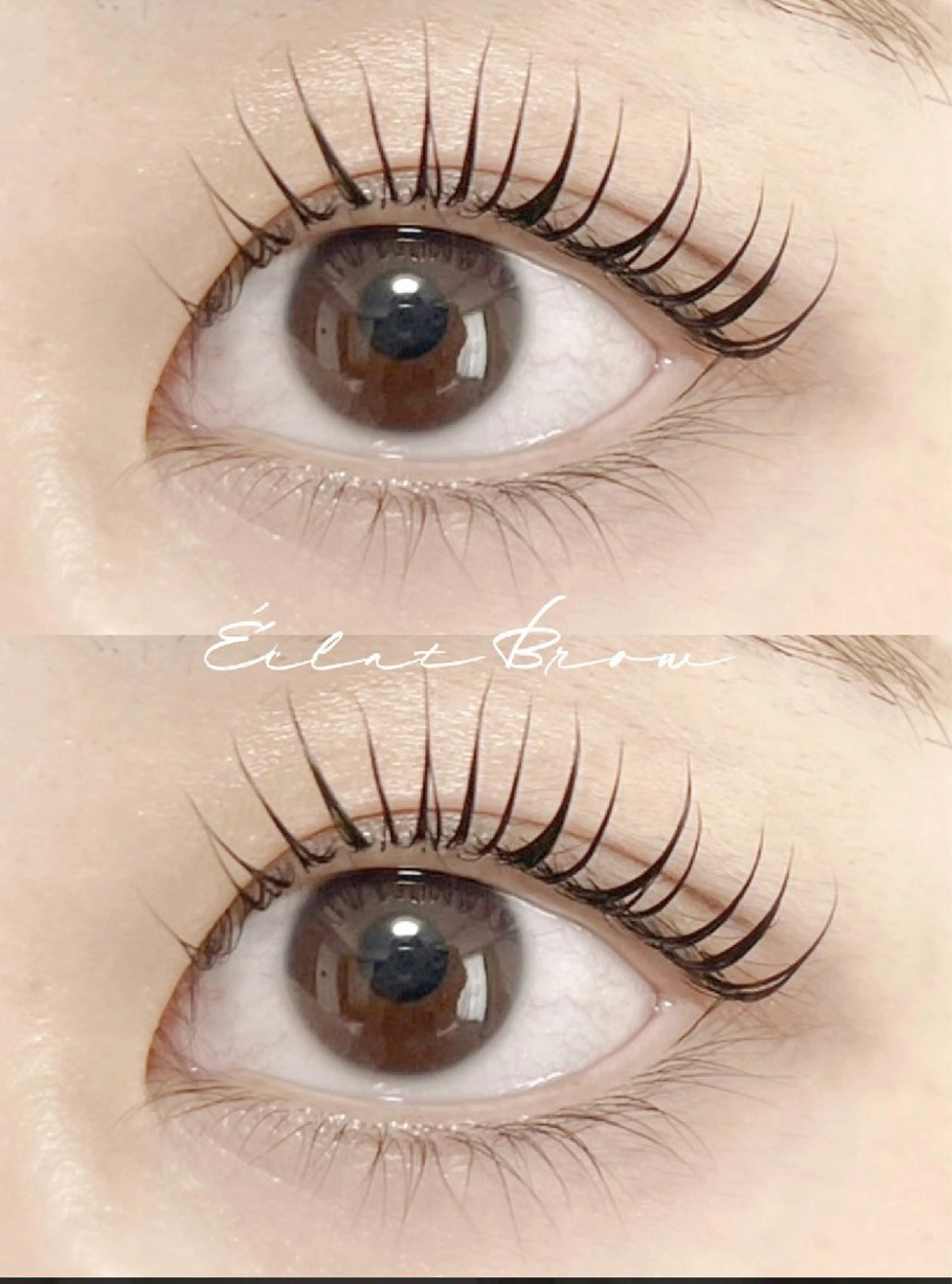 マツエク・マツパ エクラブロウ柏駅東口店所属・エクラブロウ 柏駅東口店のマツエク・マツパデザイン