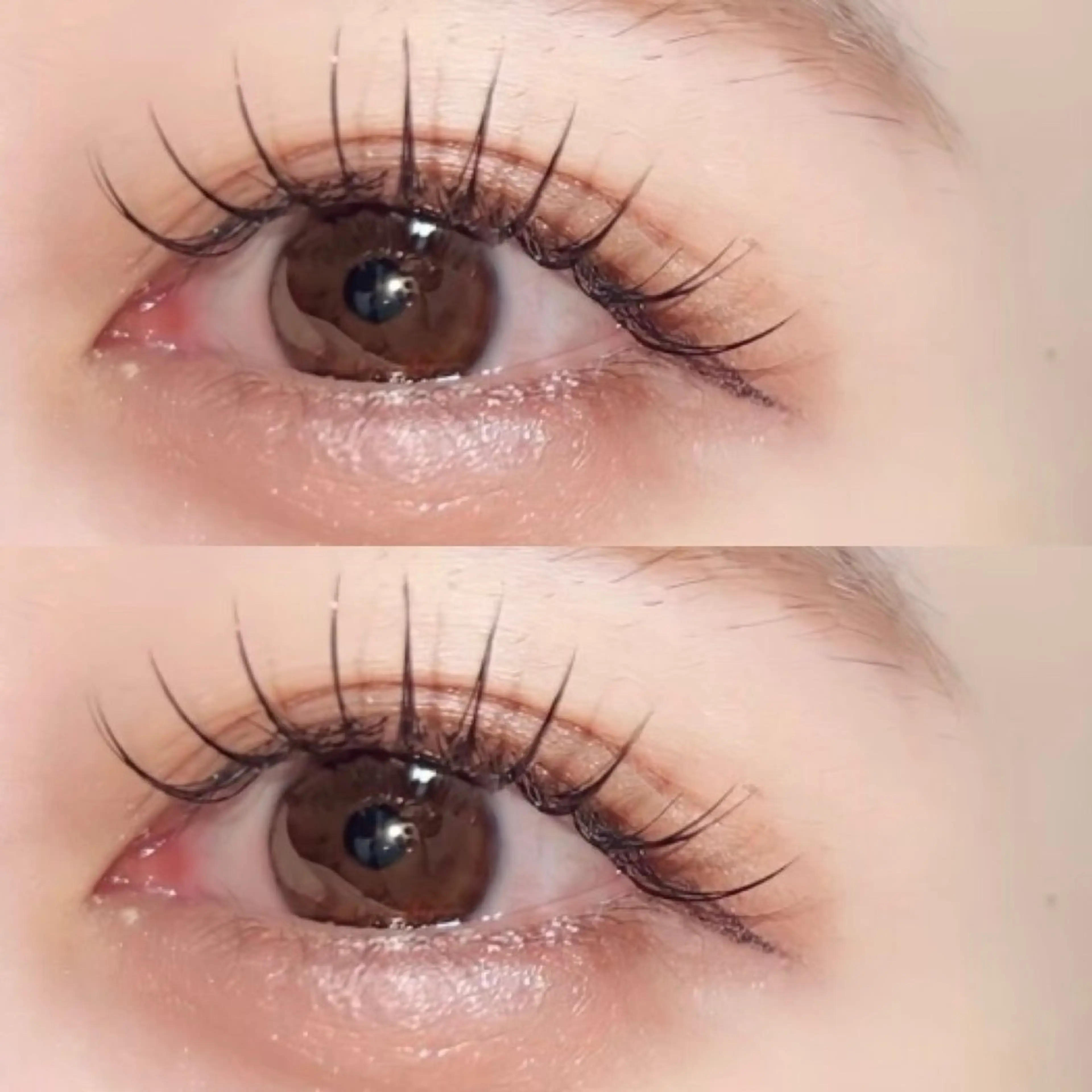 【LED限定🌟】選べるデザイン♪高級エアセーブル🧚🏻 両目最低80本​〜​100本前後の写真