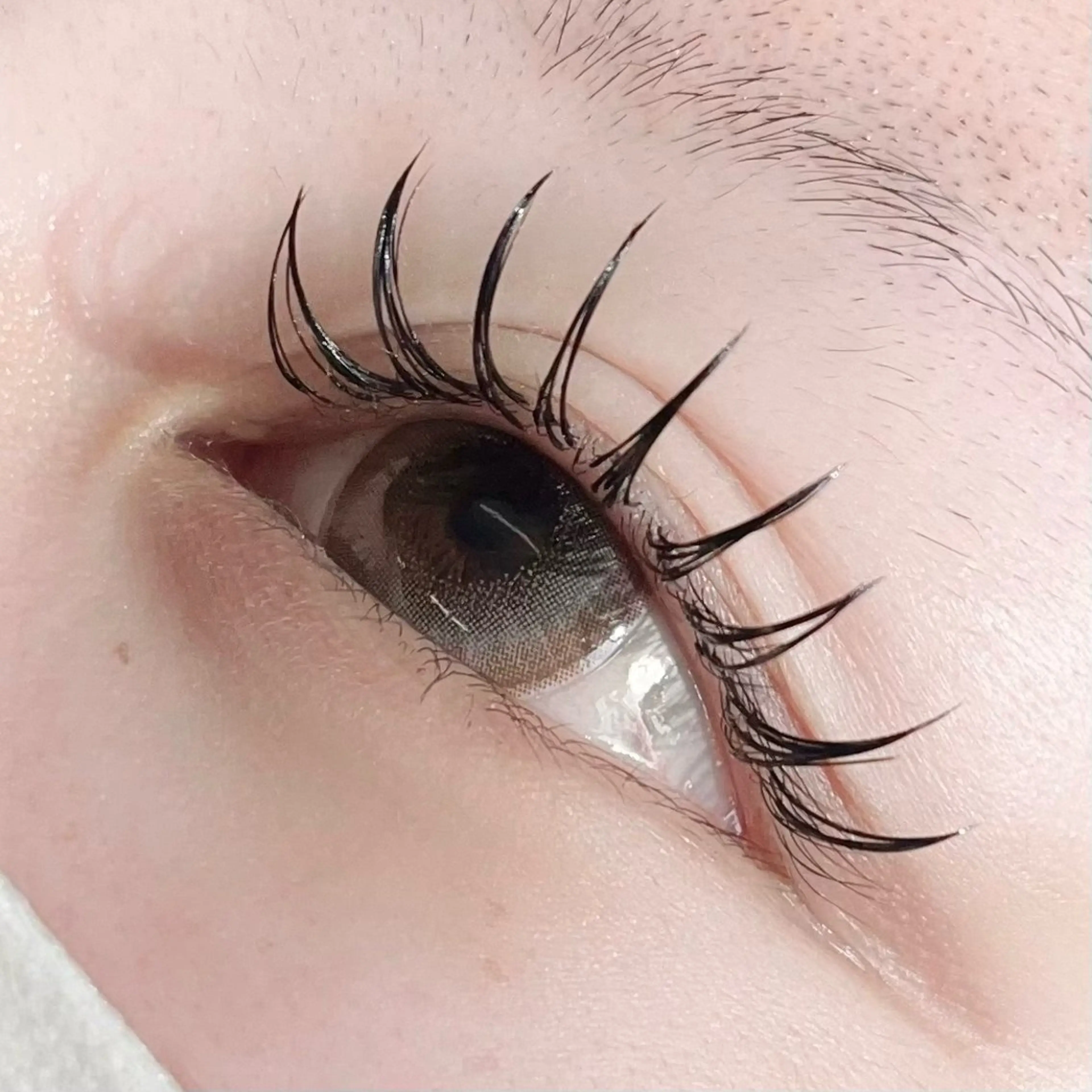 マツエク・マツパ マツエク Riran♡ Moeのマツエク・マツパデザイン