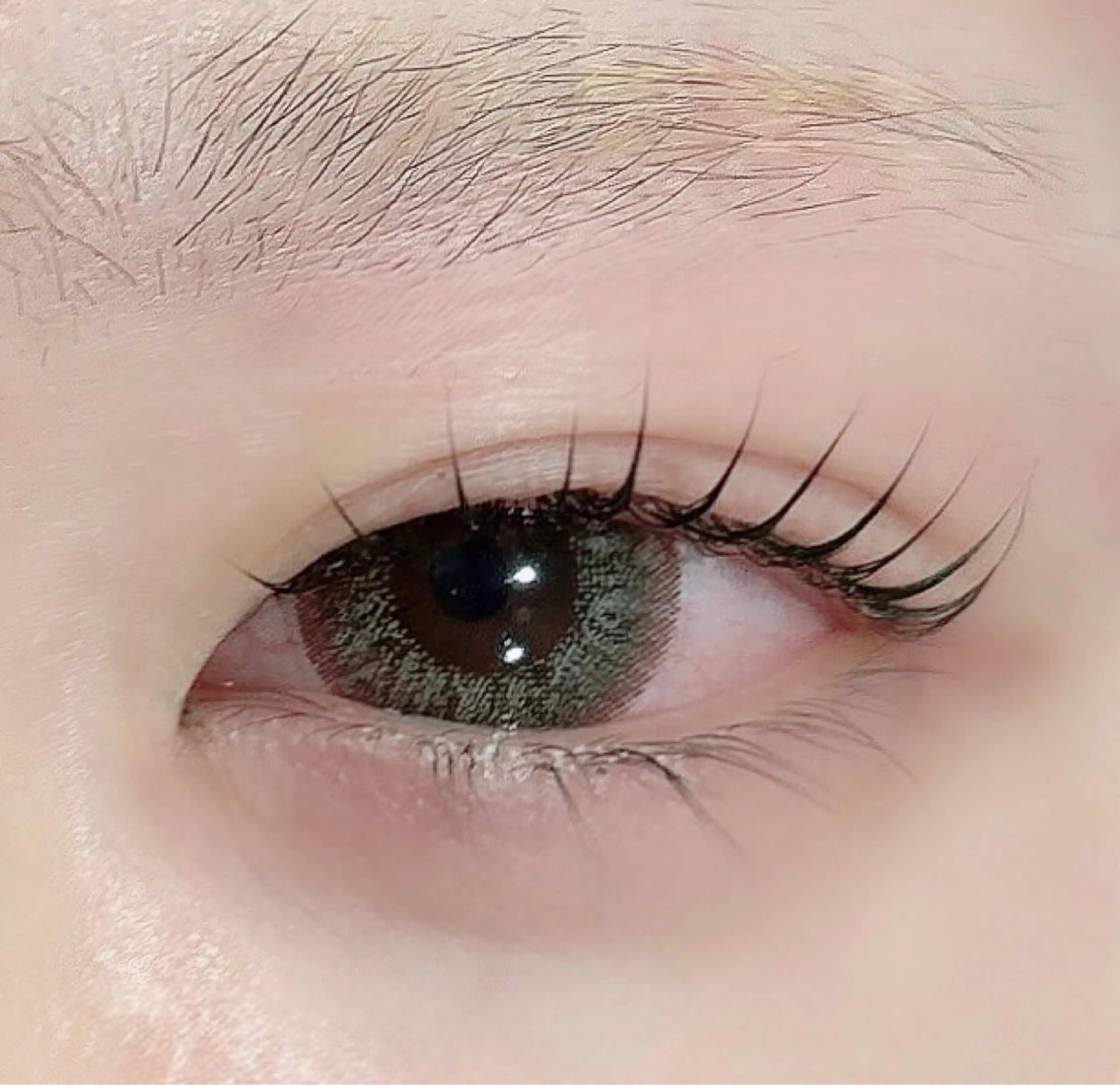 パリジェンヌラッシュリフトの写真