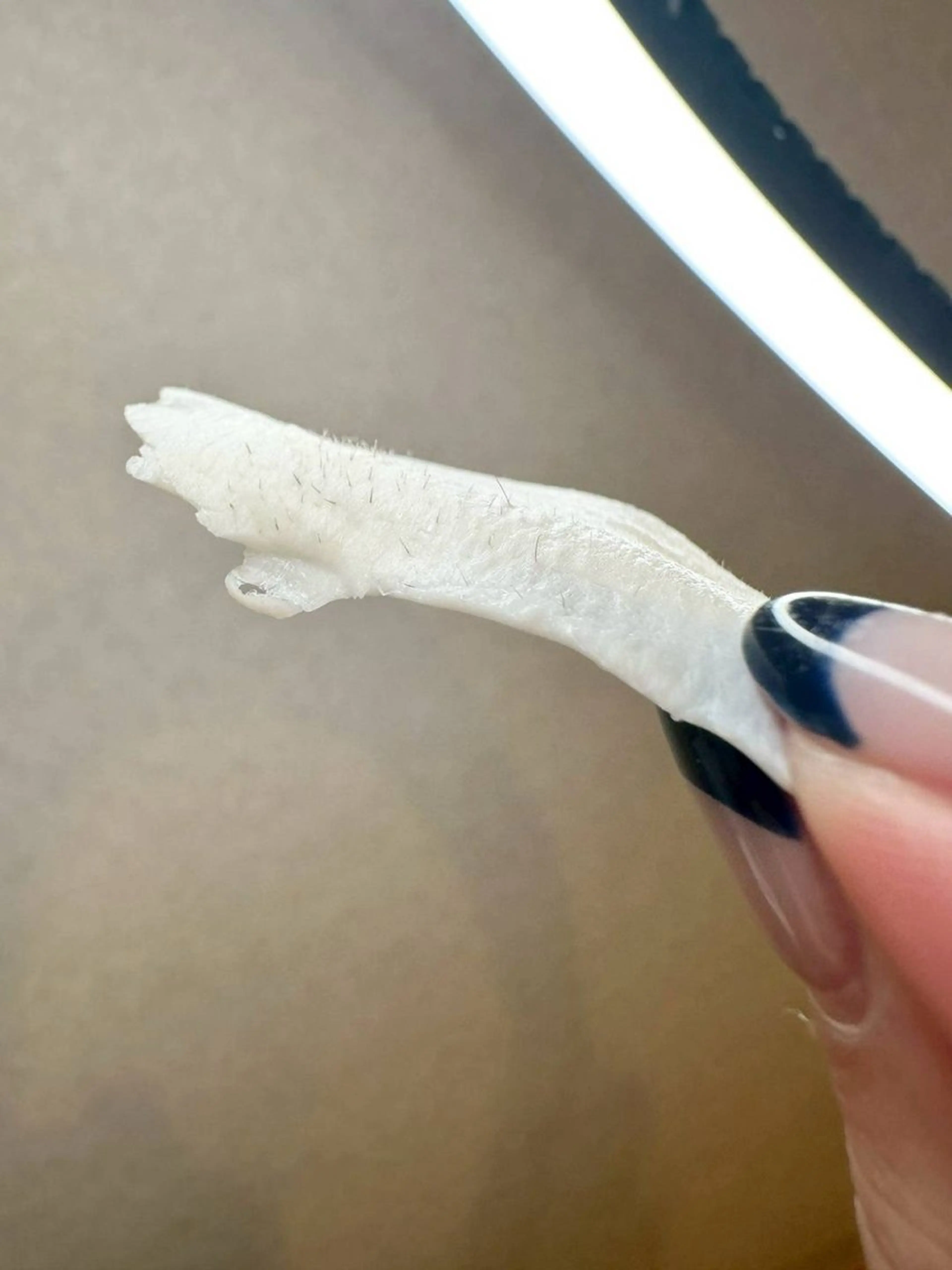 schön所属・schön 松井のエステ・リラクイメージ