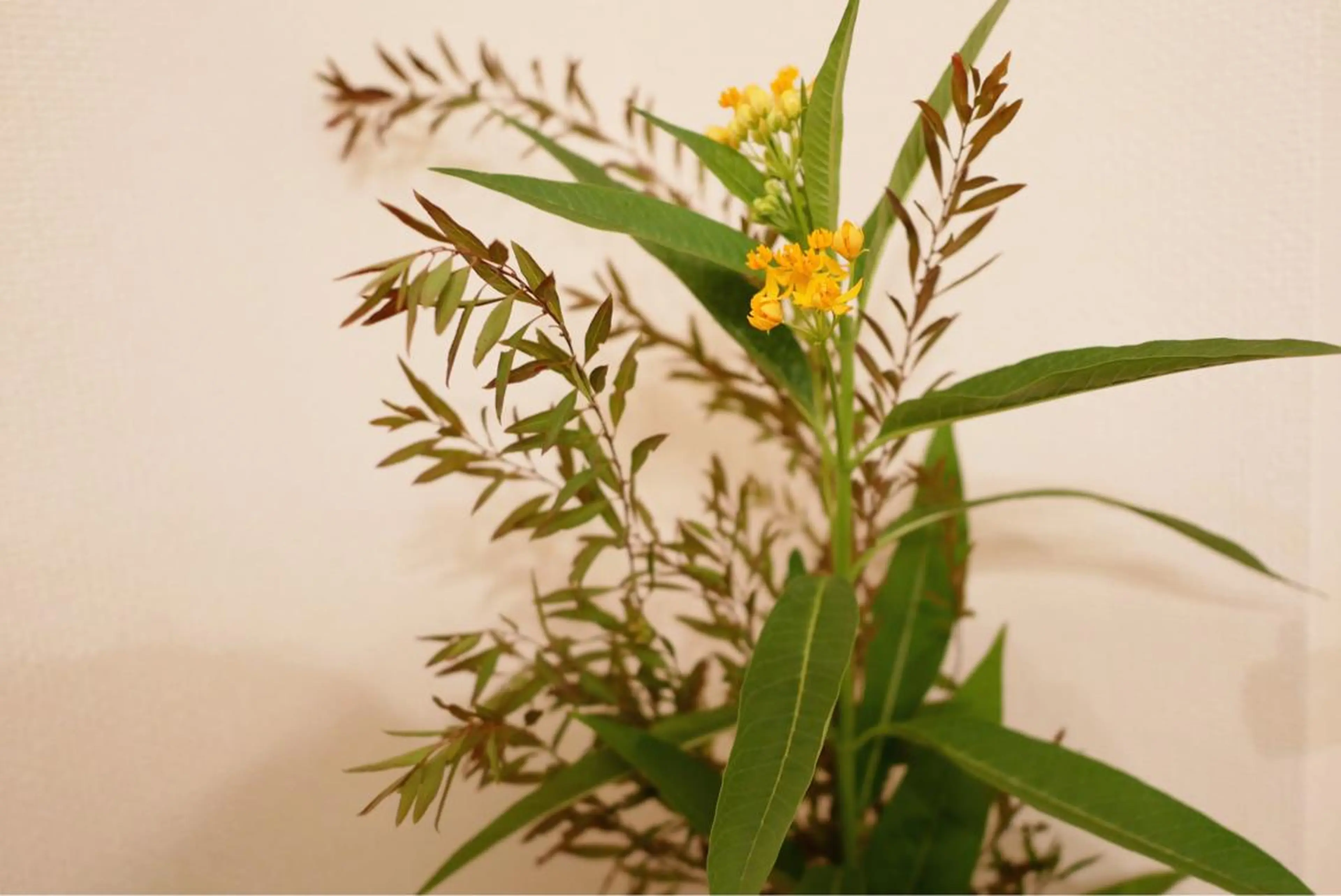 ショート カラー パーマ ヘアアレンジ メンズ キッズ ネイル マツエク・マツパ ブルー ニキビ跡専門サロン Ａｉｎａのエステ・リラクイメージ