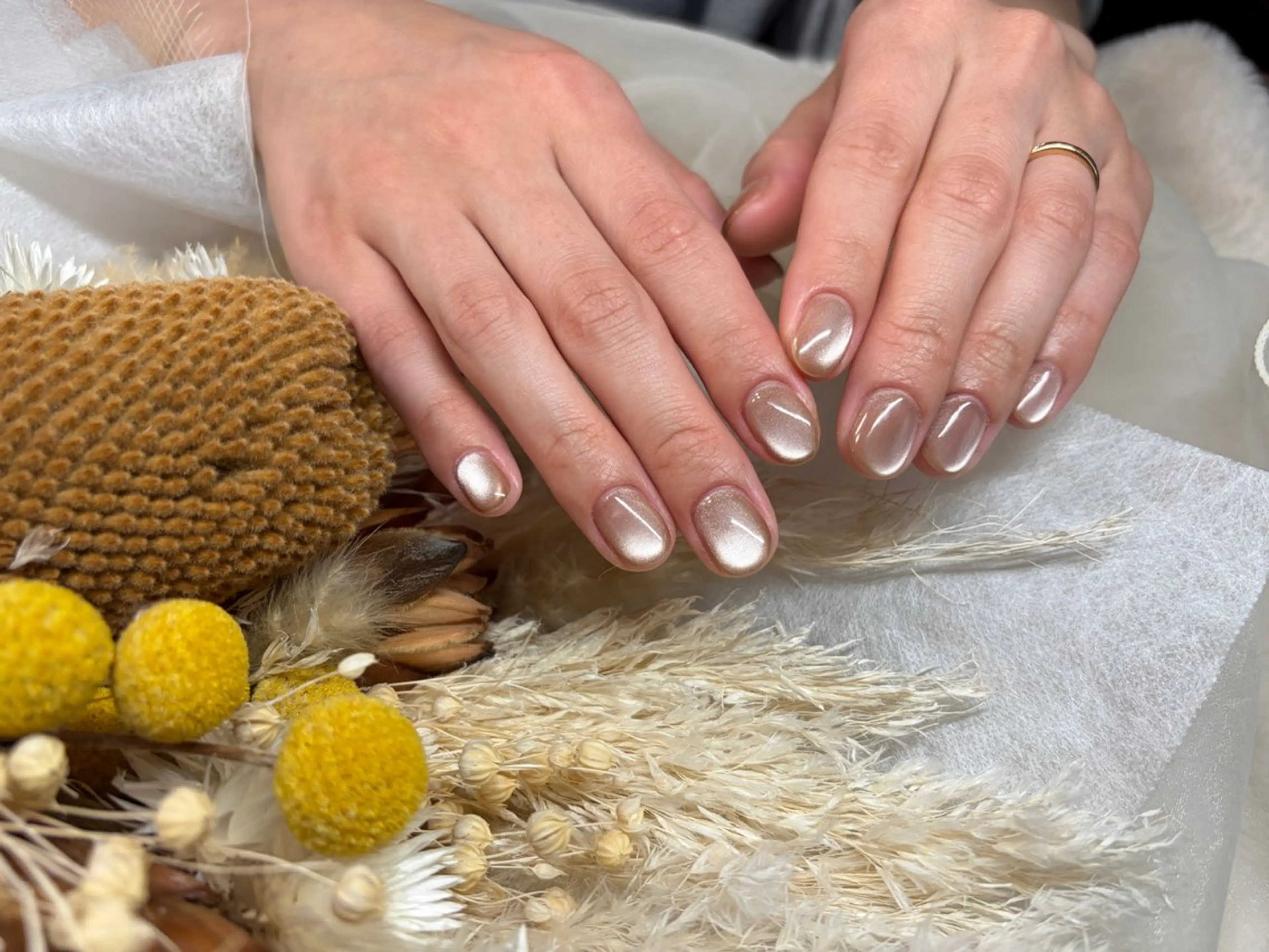 ネイル マグネットネイル マグネットワンカラー ワンカラーネイル 大貫 蓮衣のネイルデザイン