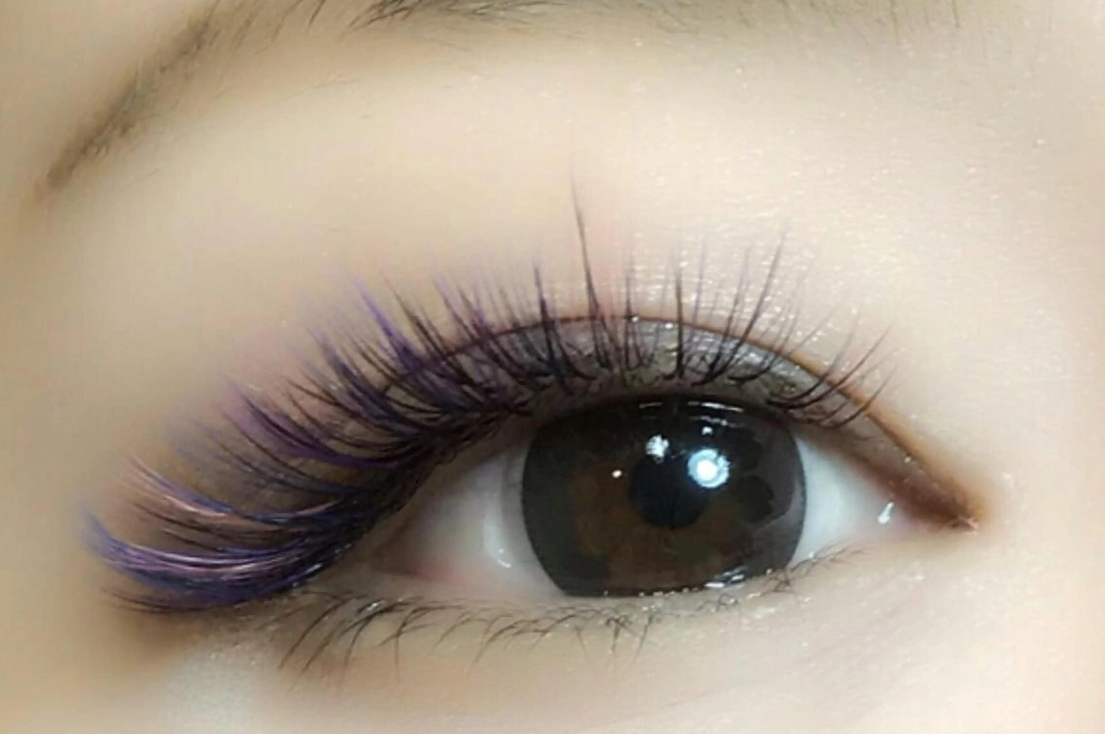 バインドロックorボリューム80束 (240本)7700円の写真