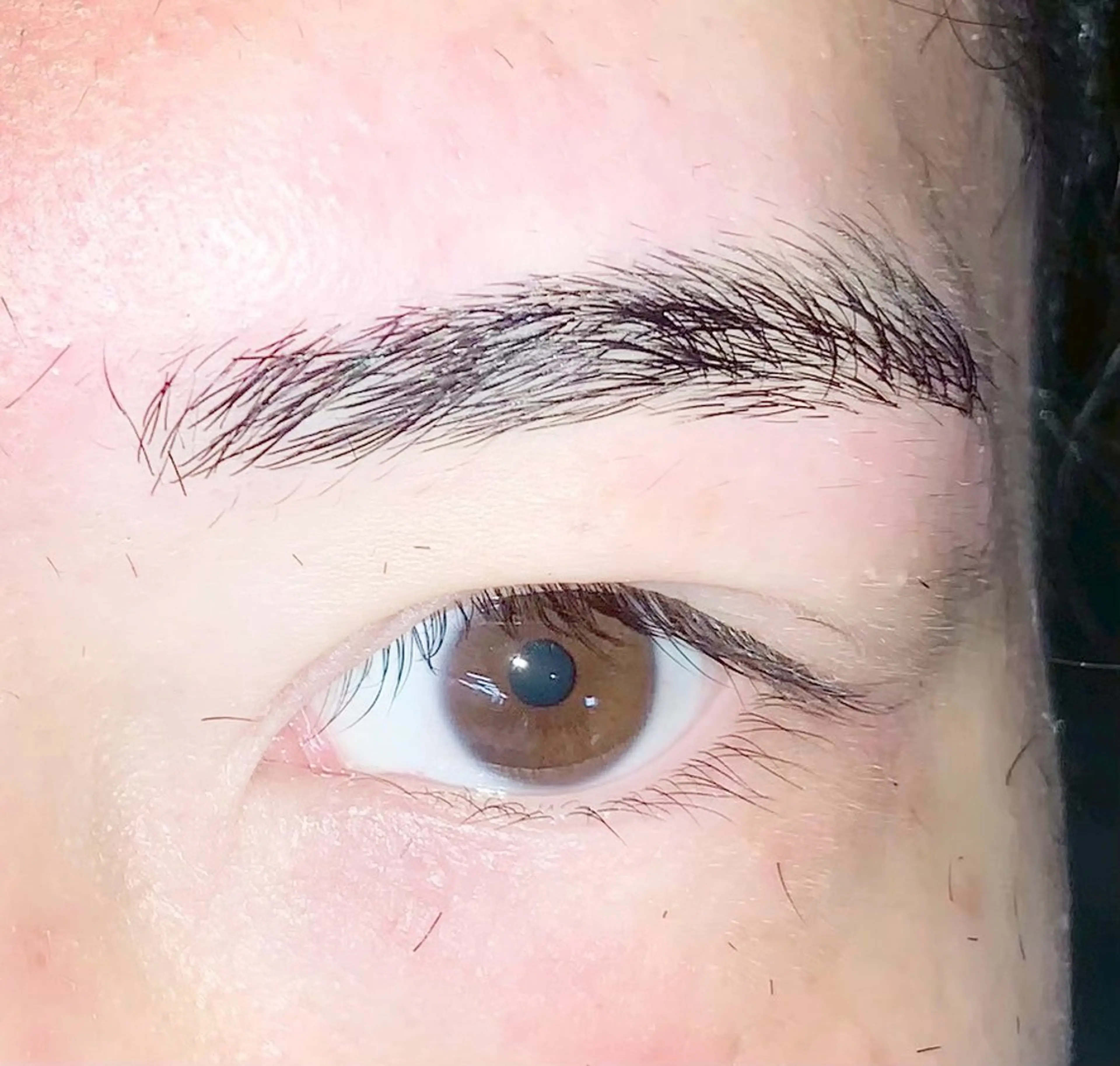 アイブロウ 細川 秀平のヘアスタイル