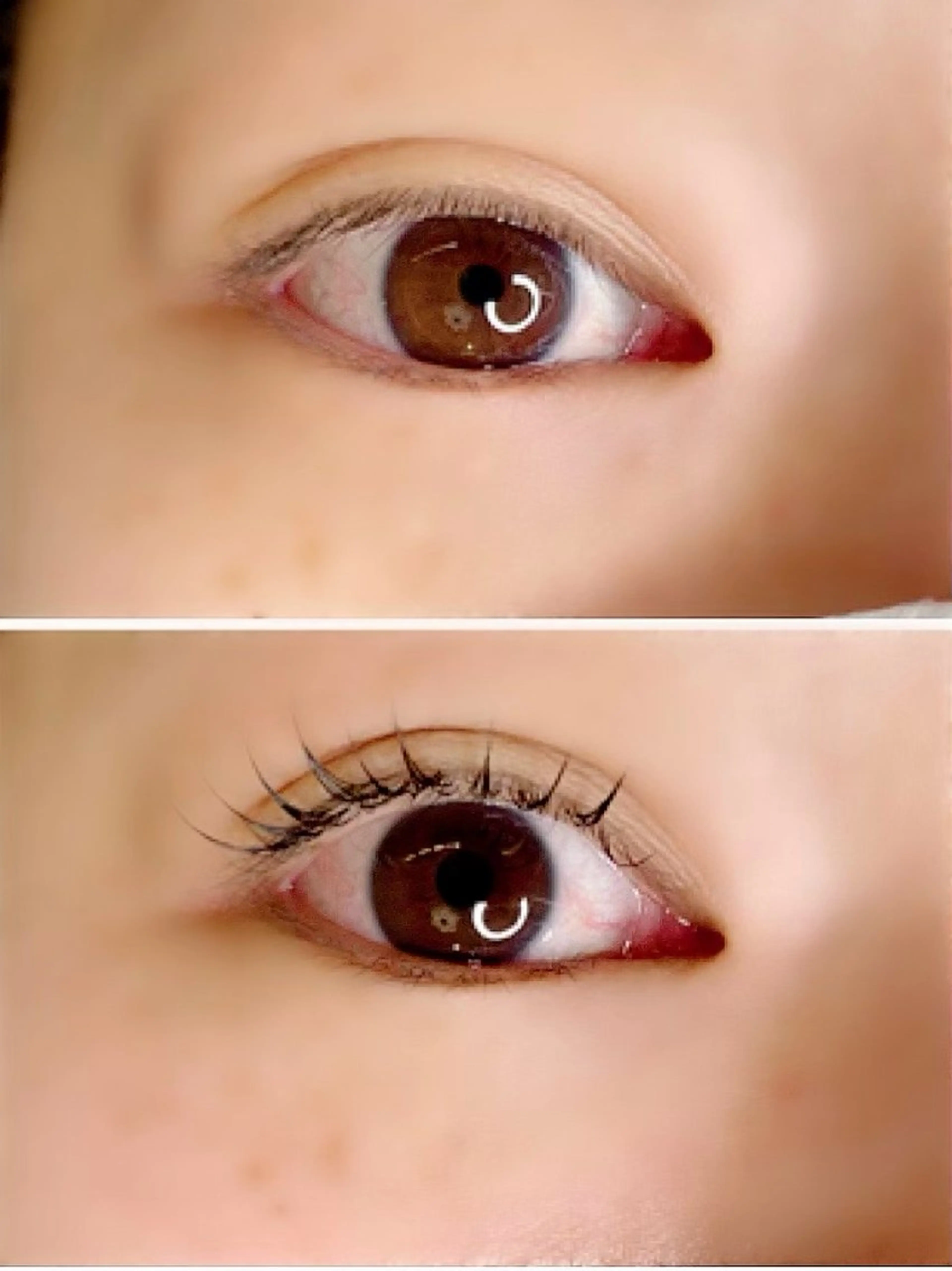 セーブルエクステ80​〜​100本の写真