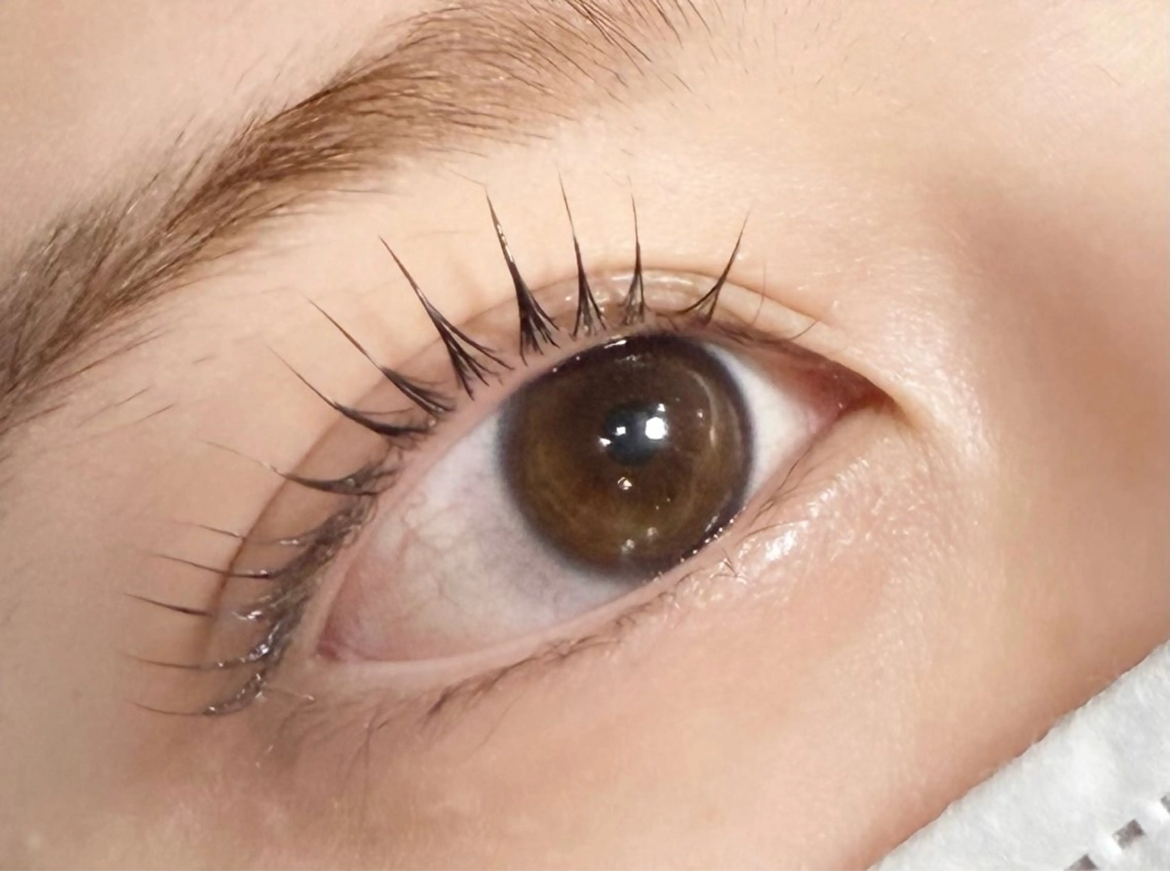 マツエク・マツパ パリジェンヌラッシュリフト マツパ 川畑🌻 アンジェリカ錦糸町のマツエク・マツパデザイン