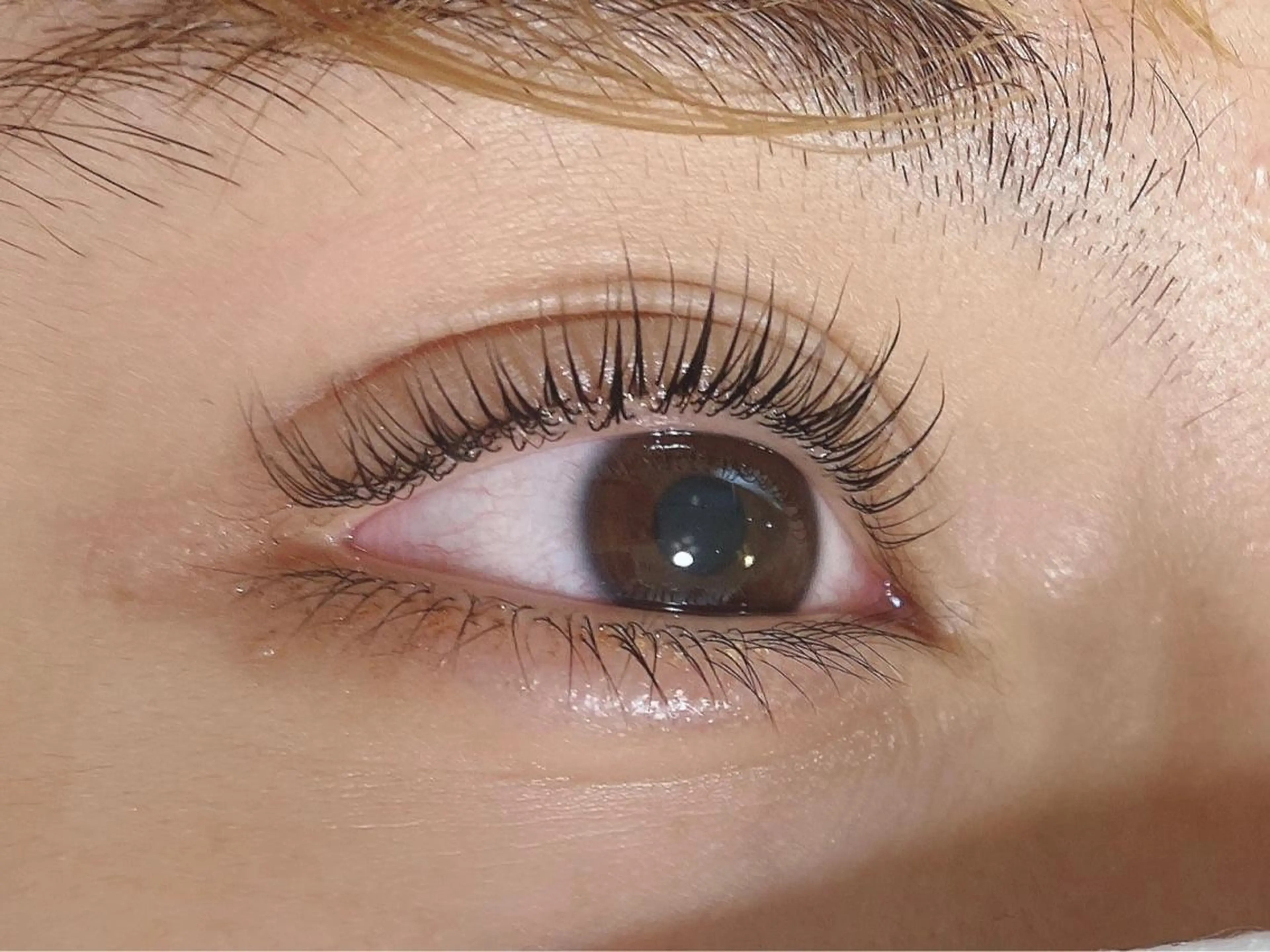 マツエク・マツパ パリジェンヌラッシュリフト マツパ mocca🕊🫧 ayamiのマツエク・マツパデザイン