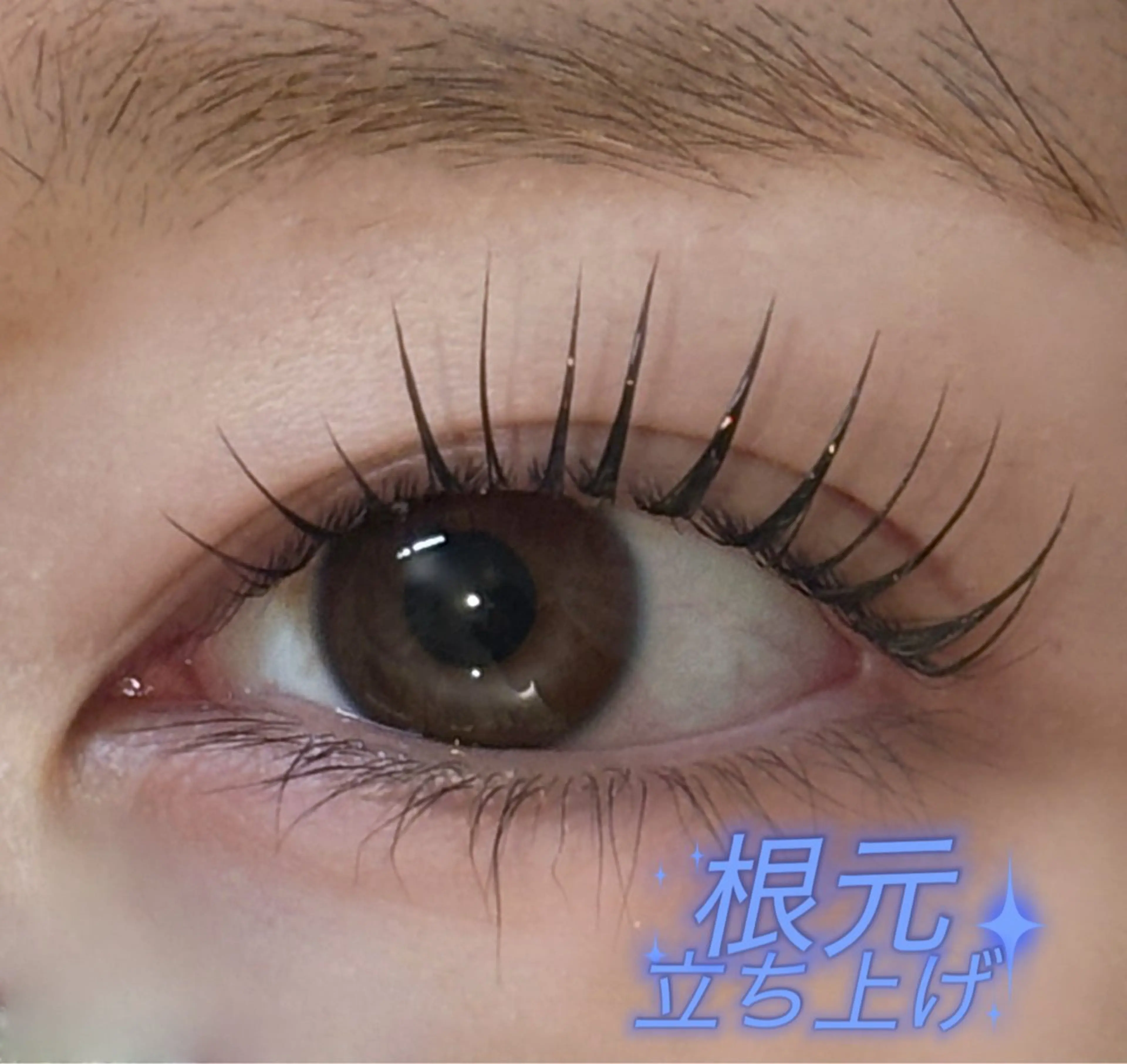 マツエク・マツパ jessica🪽 yoshida🩰のマツエク・マツパデザイン