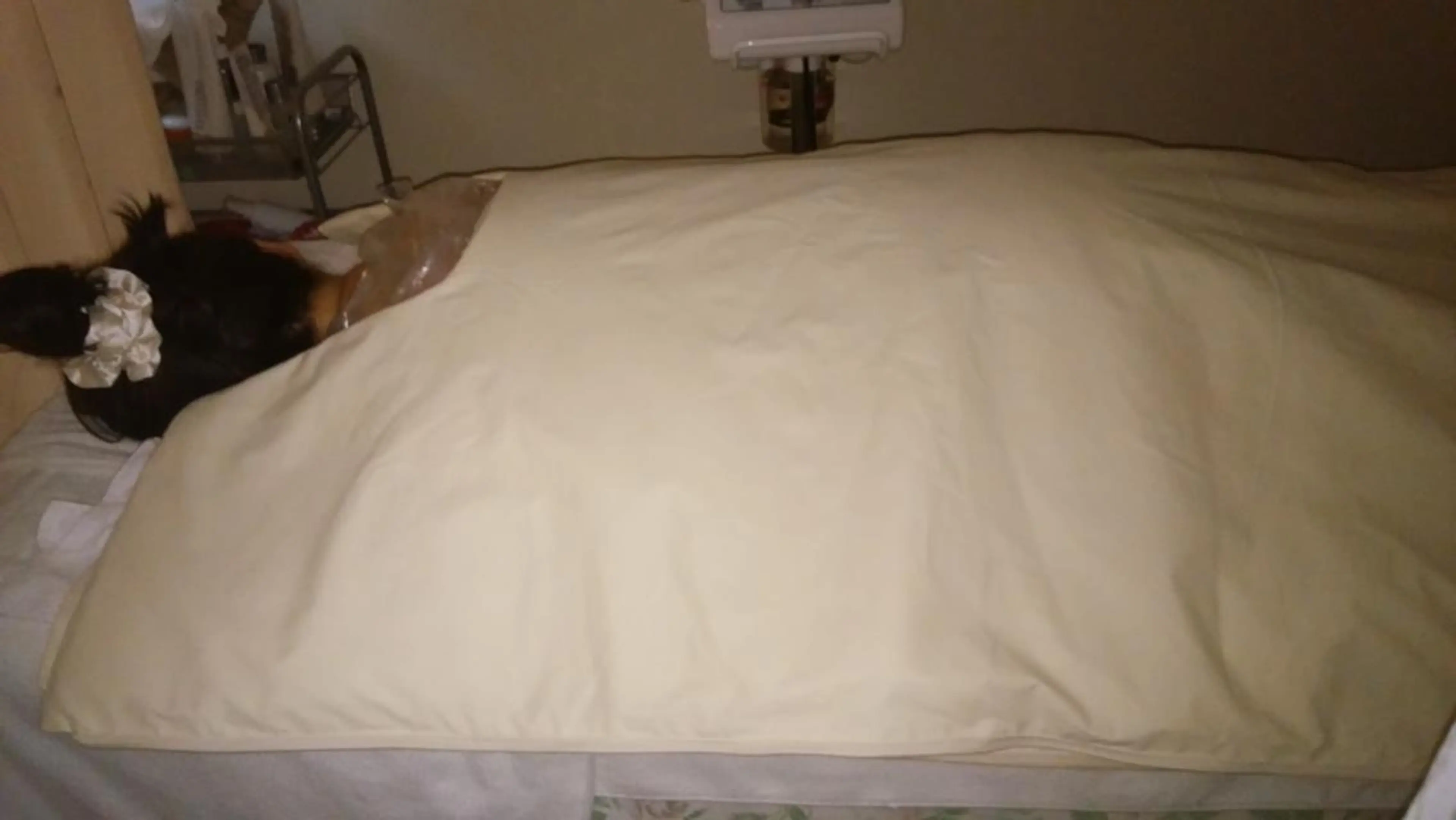 N 蘭のエステ・リラクイメージ