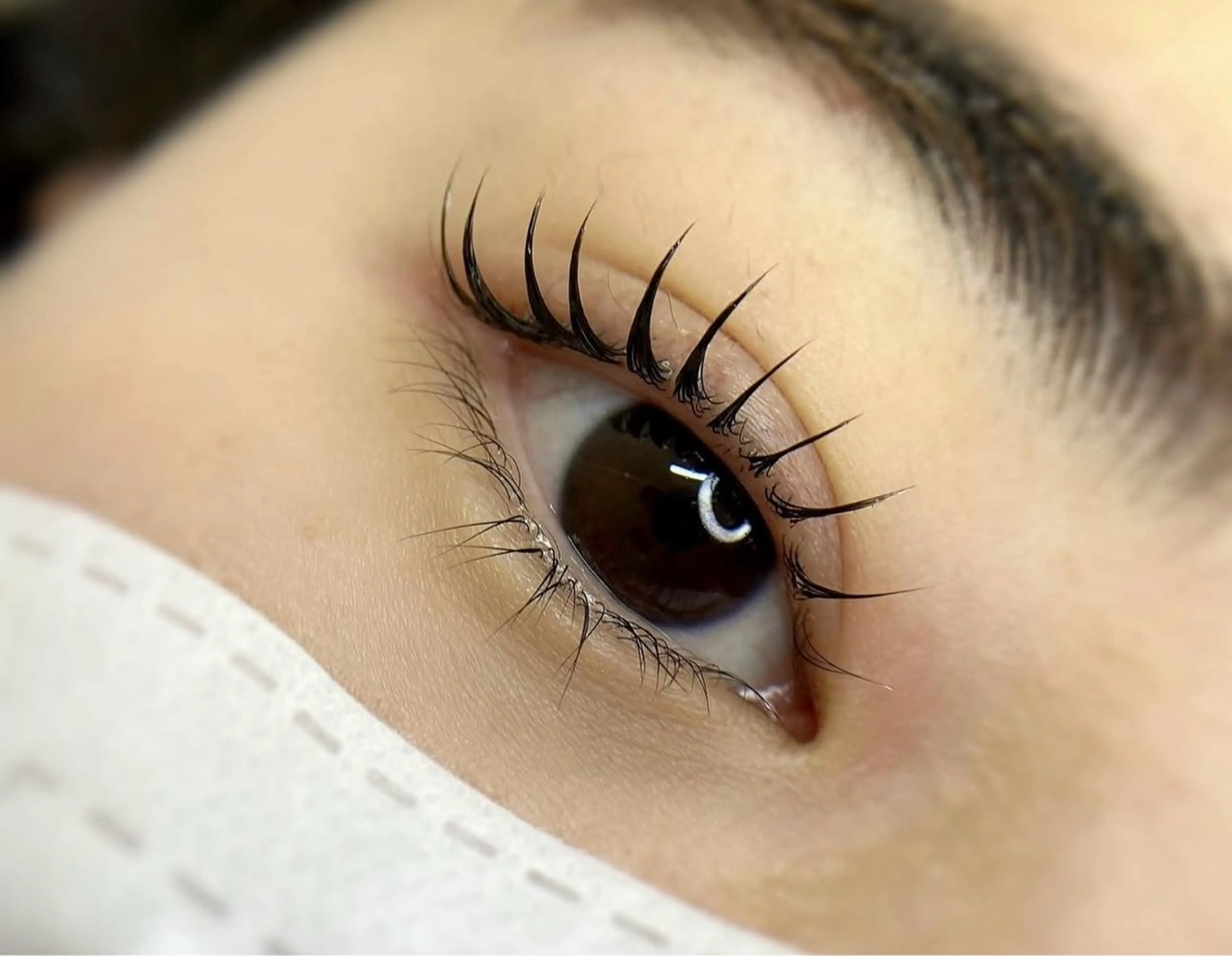 マツエク・マツパ 束感まつ毛 韓国風マツエク パリジェンヌラッシュリフト マツパ パリジェンヌ マツエク専門店　玲子のマツエク・マツパデザイン