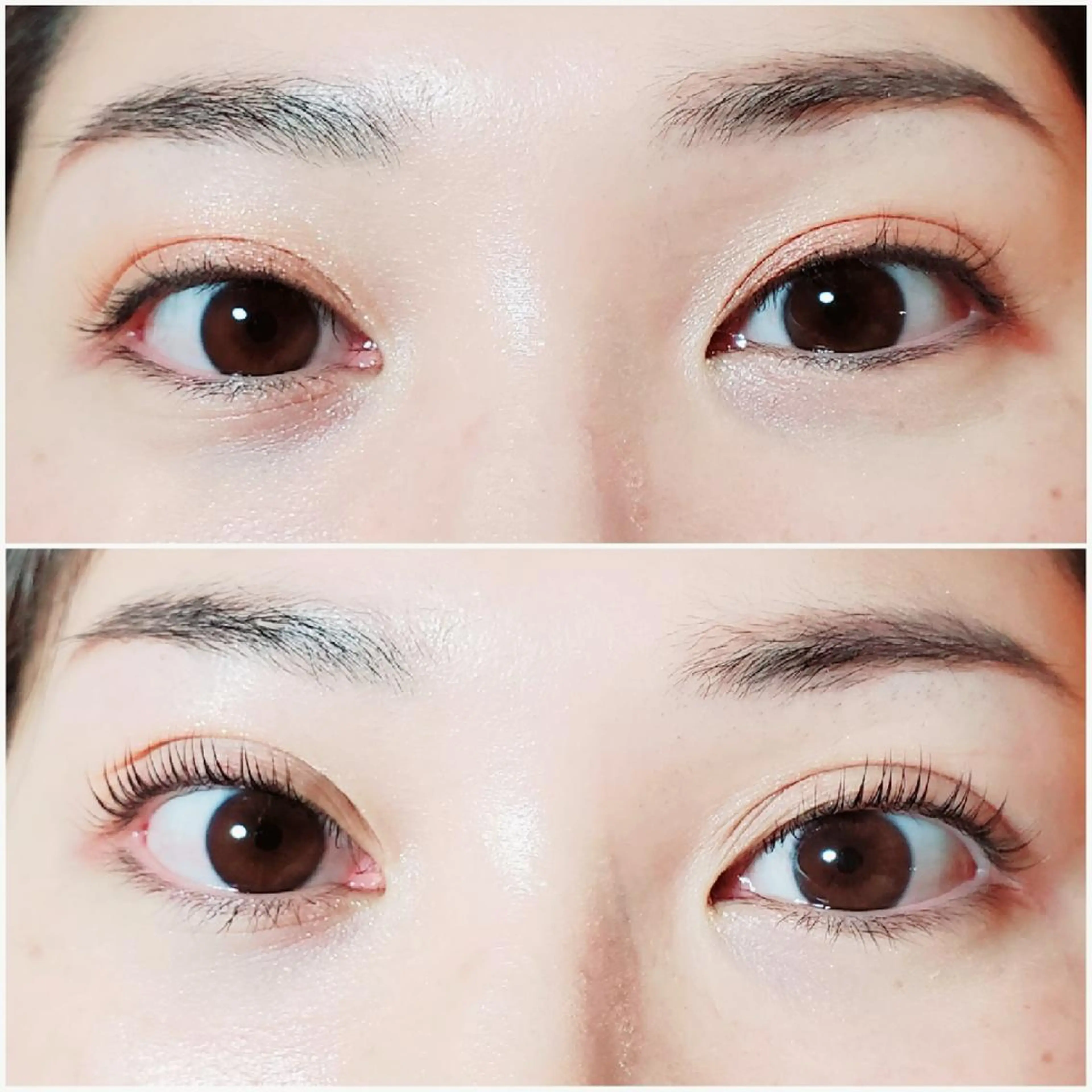 マツエク・マツパ パリジェンヌラッシュリフト mila池袋　原田 （&3）のマツエク・マツパデザイン