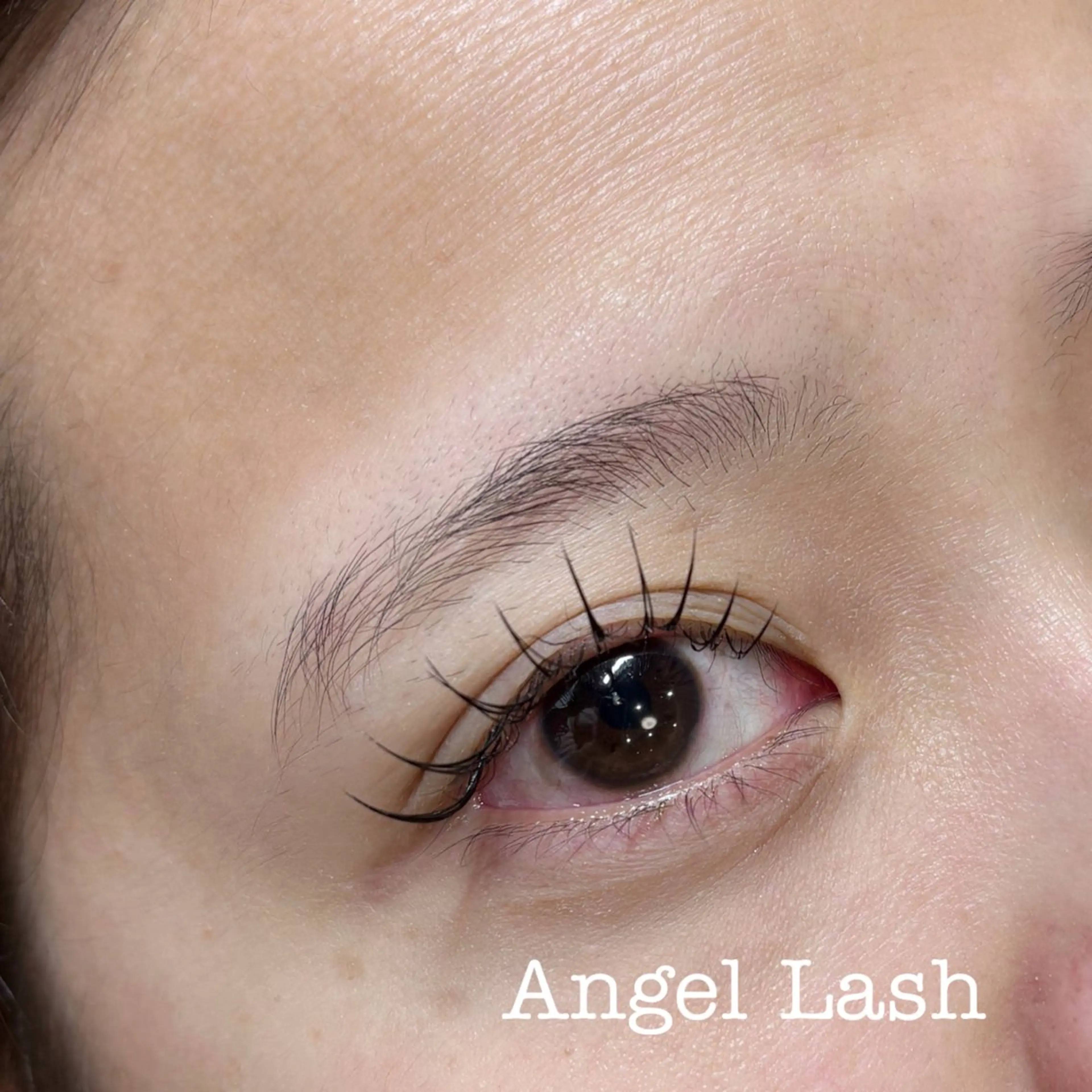マツエク・マツパ フラットラッシュ AngleLash hayashiのマツエク・マツパデザイン