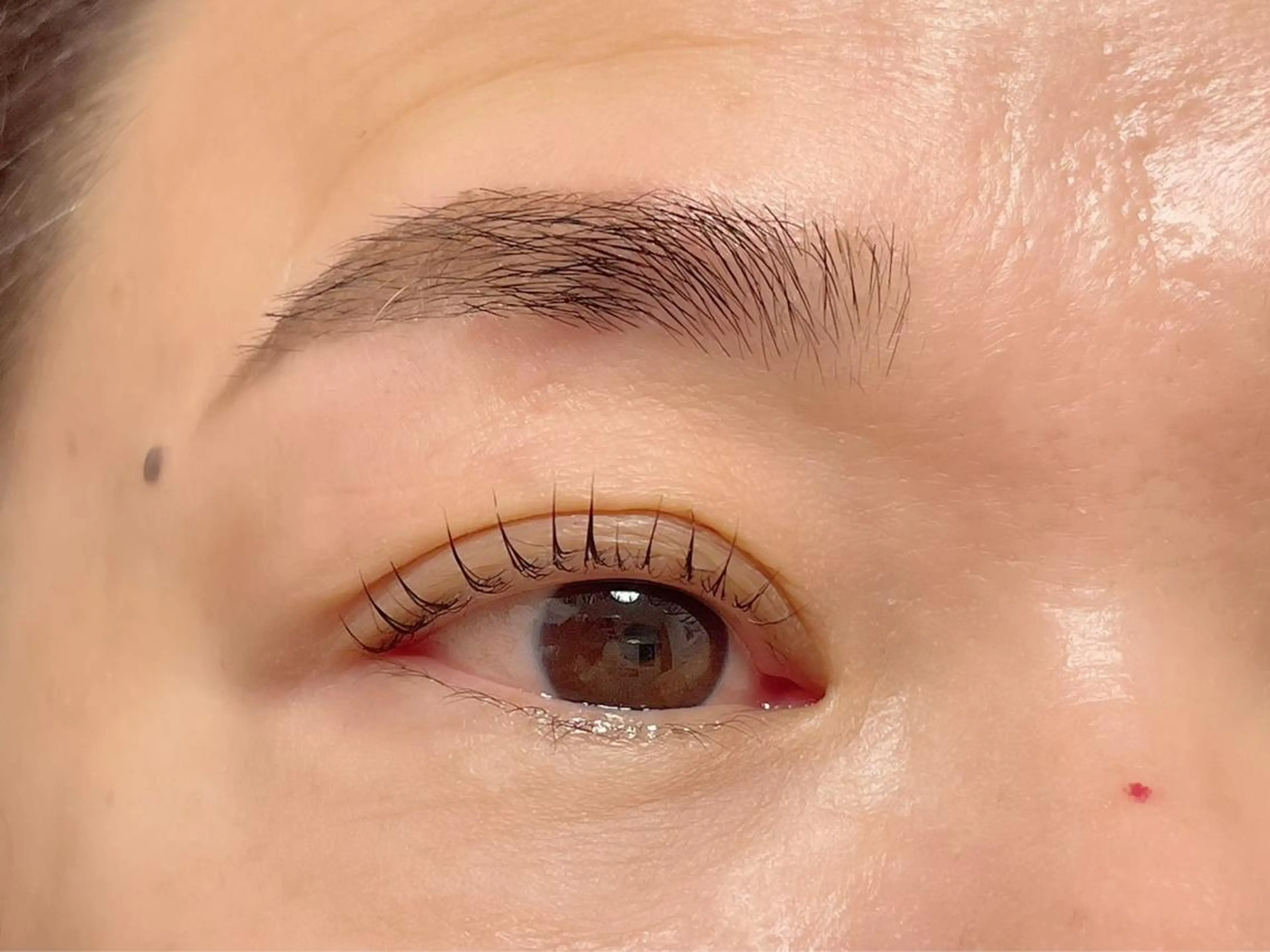 マツエク・マツパ solua上本町店 タカヤマの眉毛・アイブロウイメージ