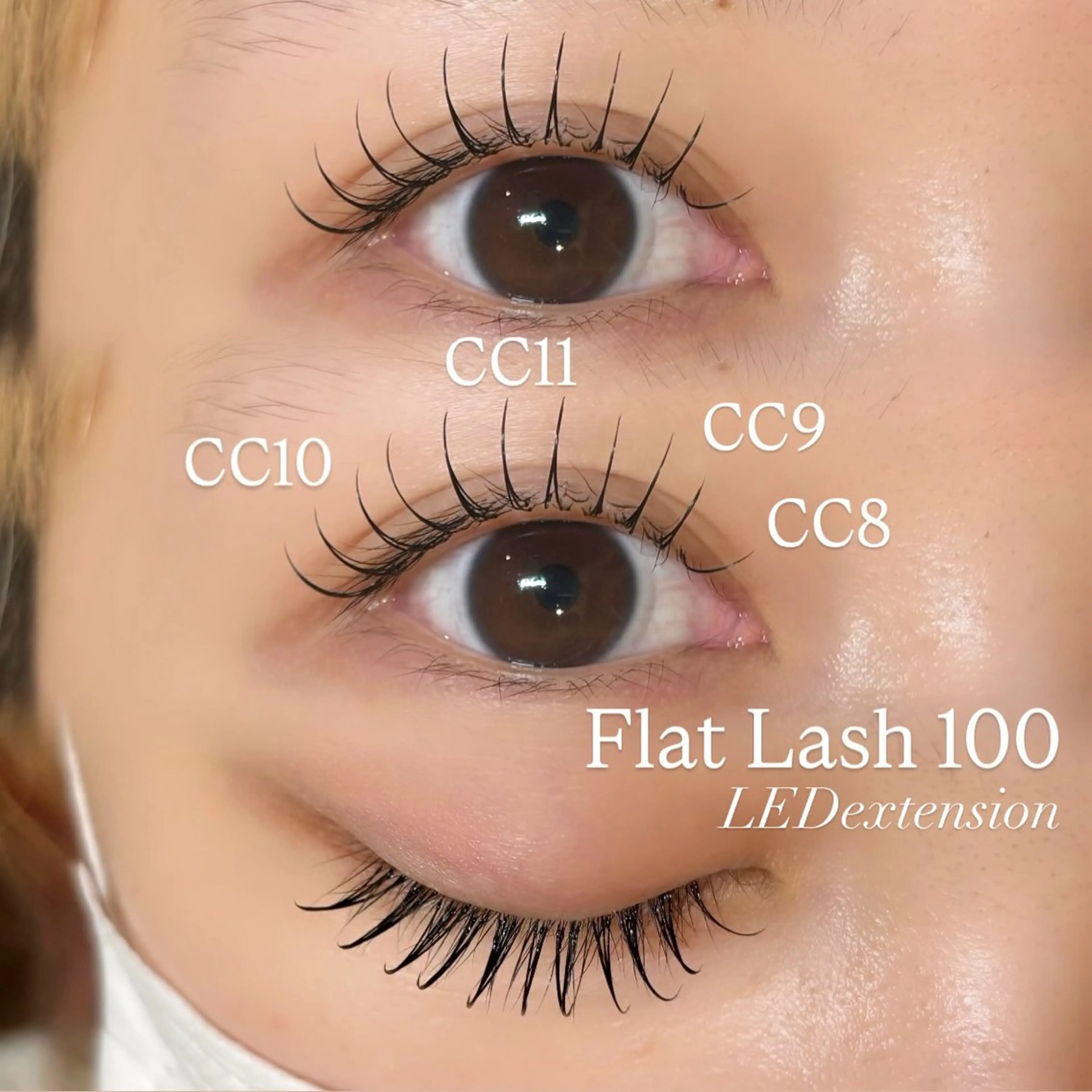 マツエク・マツパ マツエク 束感/LED/まつパ 🌼segawaのマツエク・マツパデザイン