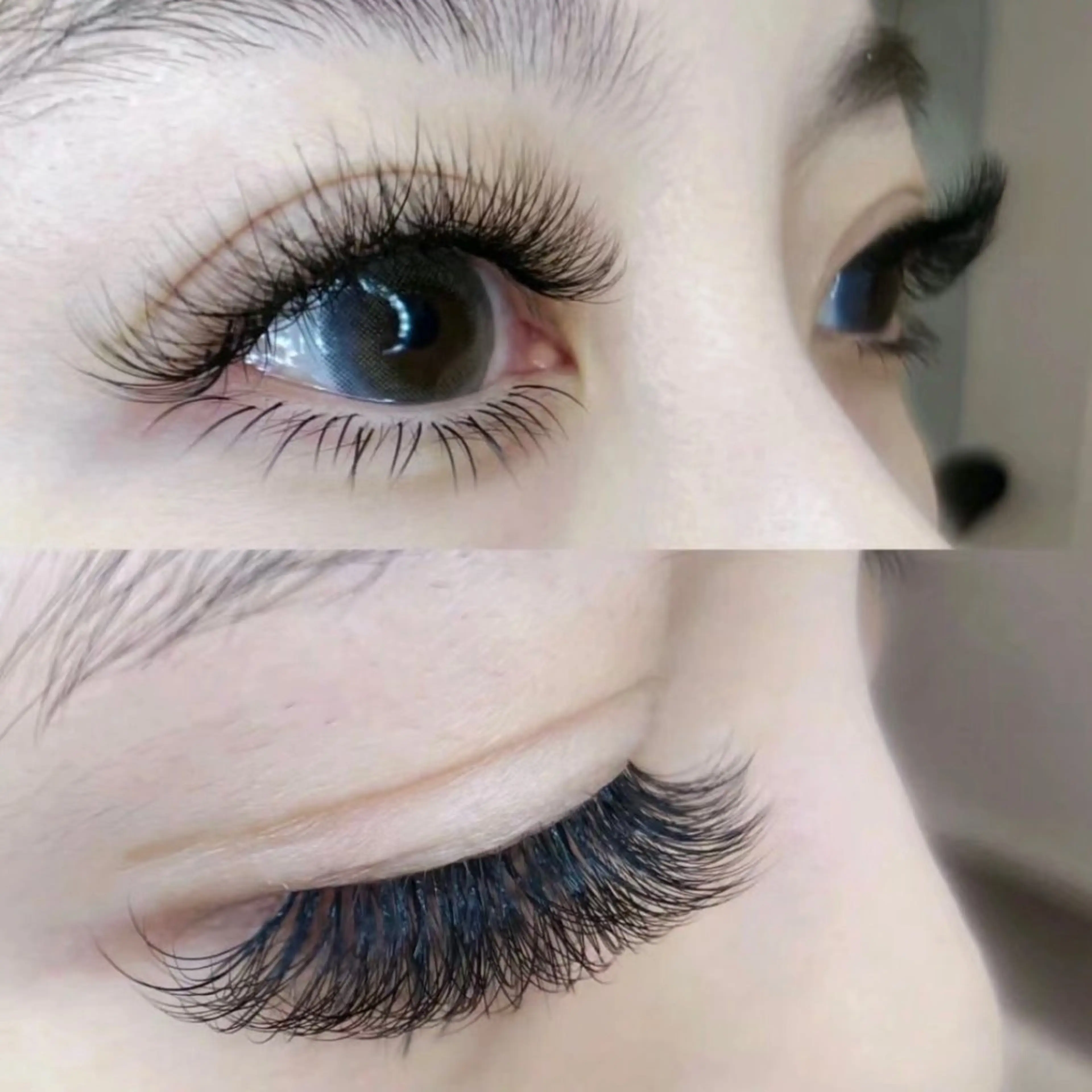 バインドロック100束の写真