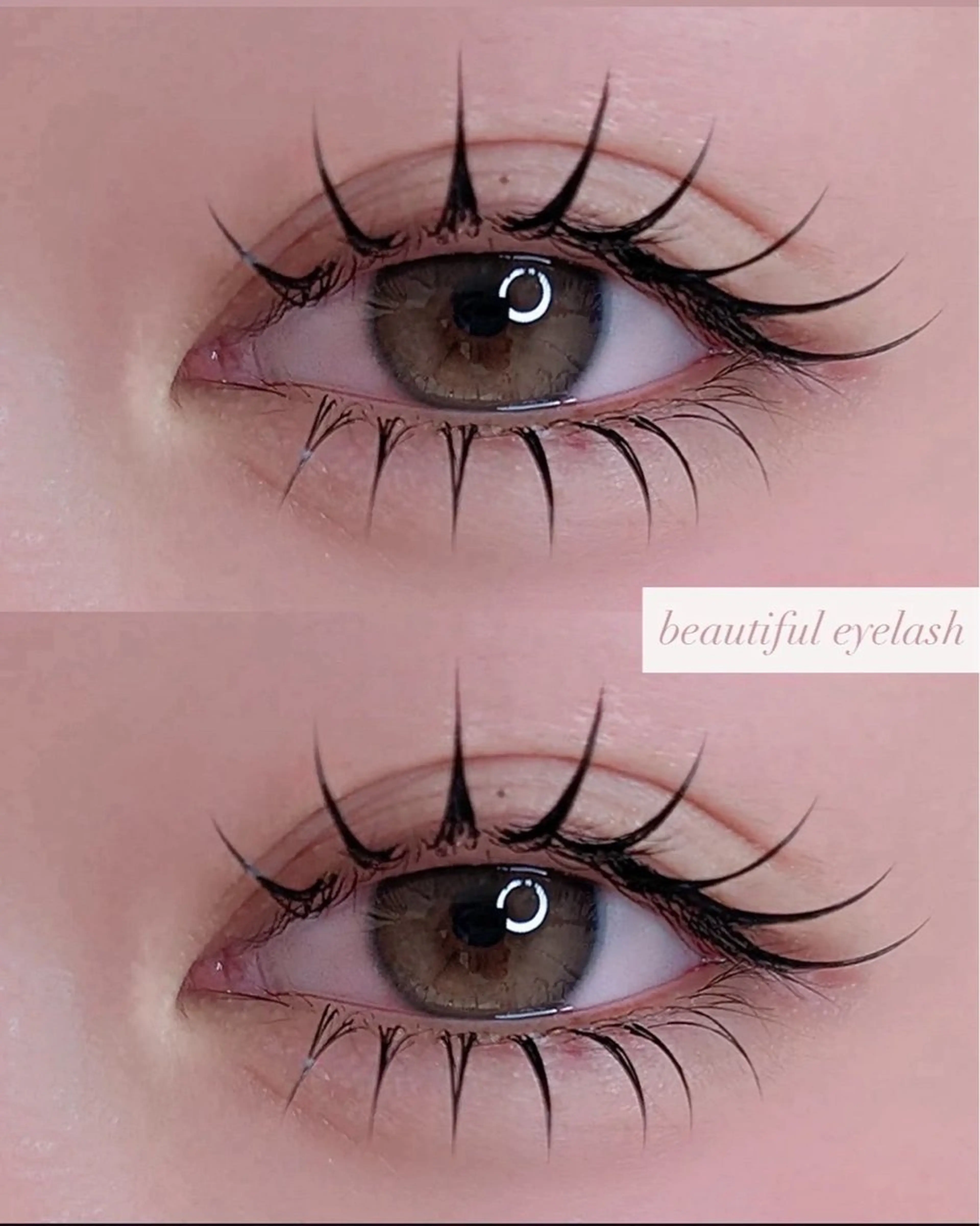 ✨💚メーテルラッシュリフト💚【大阪/江坂】【大阪/北摂】の写真