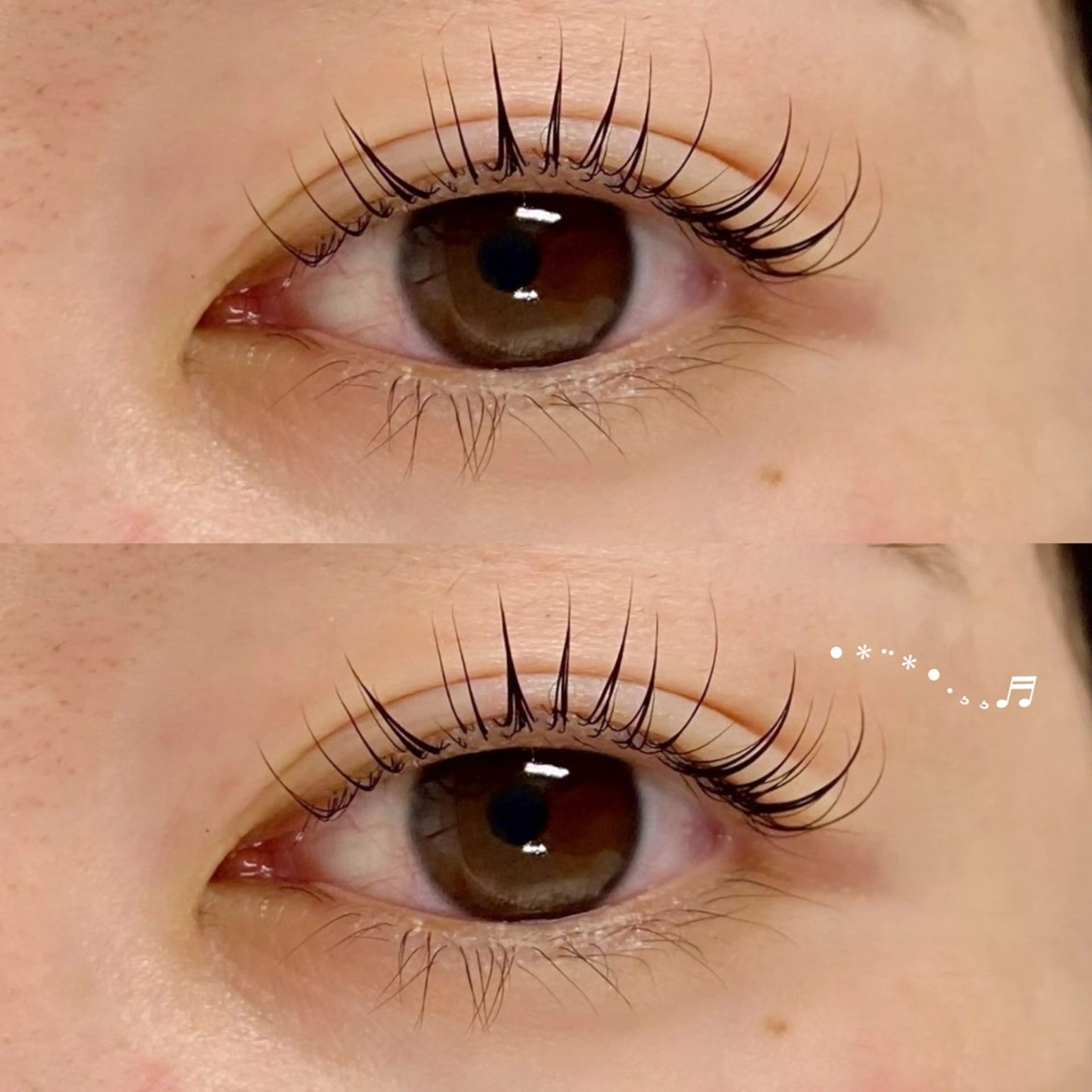 【オフなし限定】🎀無料まつ毛パーマモデル🎀の写真