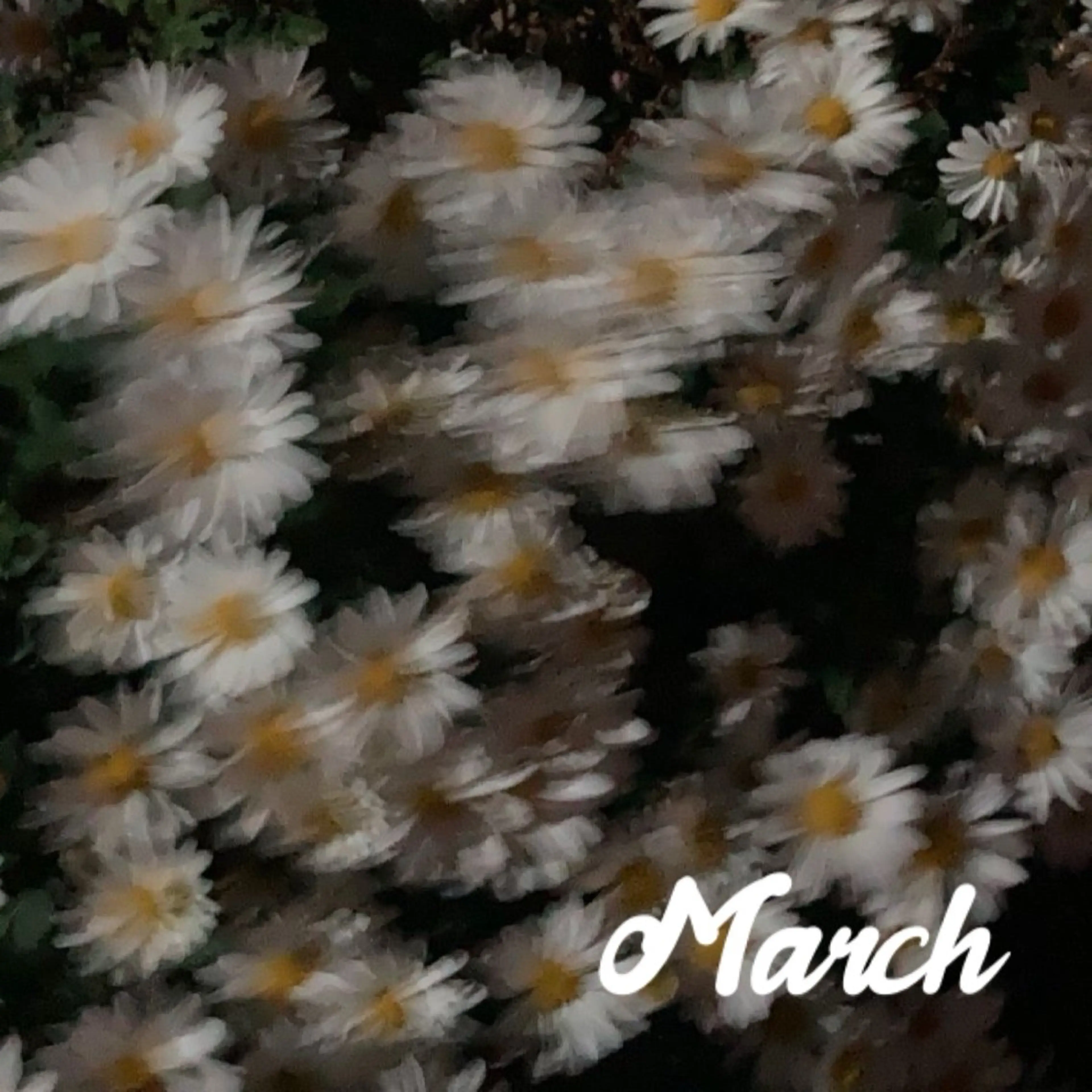 ネイル 木村 夏生 /アート･個性派👾のネイルデザイン