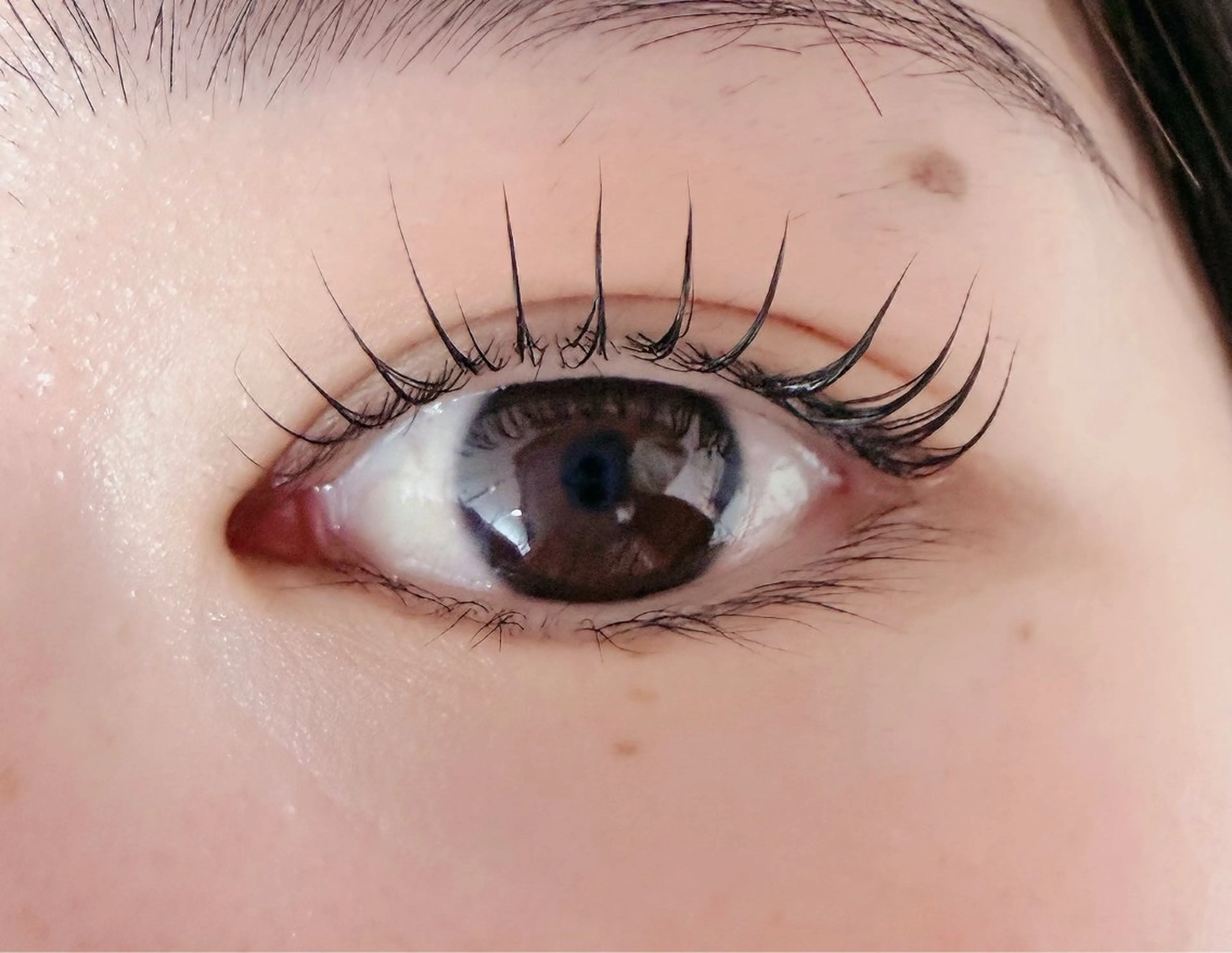 マツエク・マツパ 韓国風マツエク マツパ ルチア💞 lucia高田馬場のマツエク・マツパデザイン