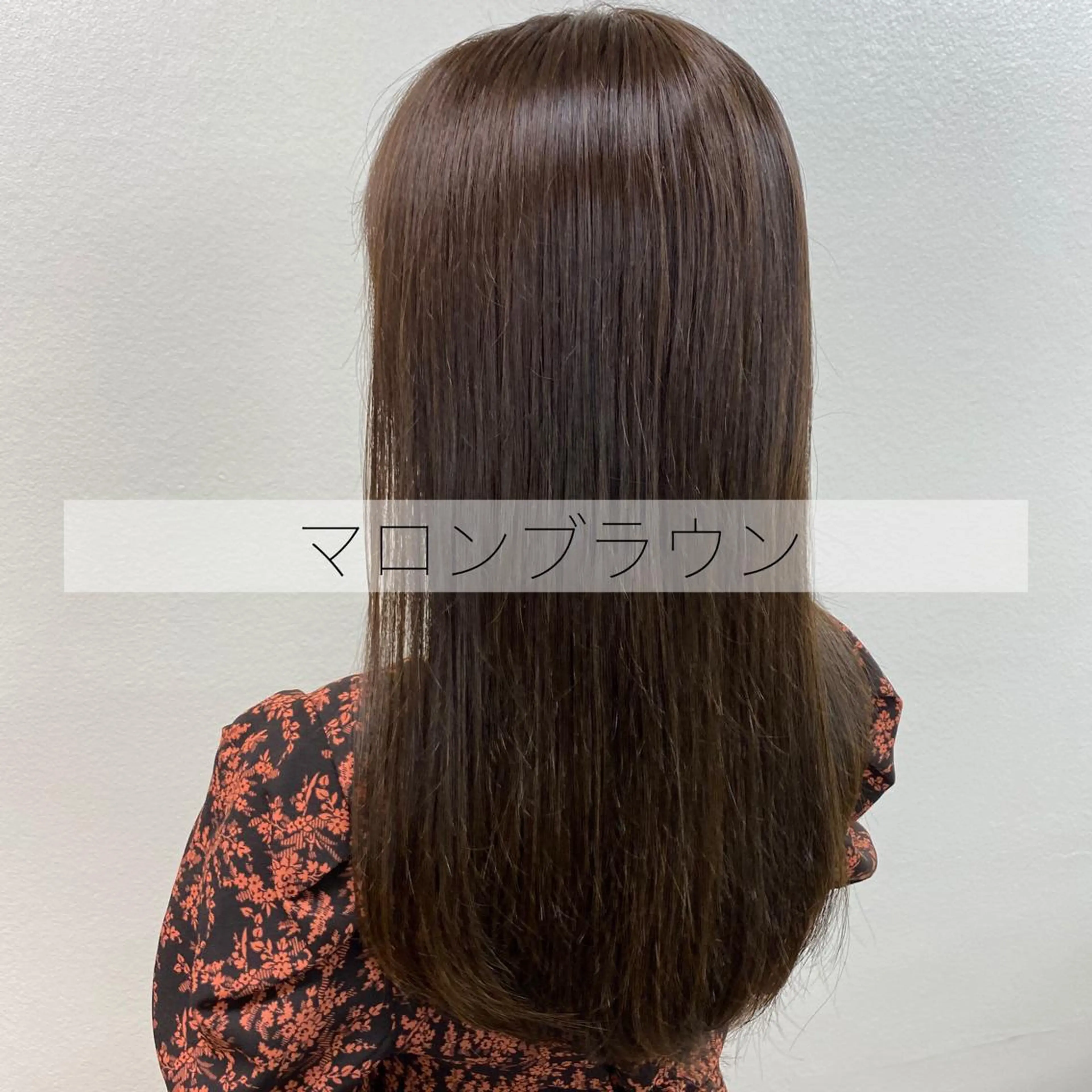 セミロング カラー ヘアアレンジ マツエク・マツパ ブラウンカラー カラーマツエク 𓏸レイヤー髪質改善 透けカラーカノン🫧のヘアスタイル