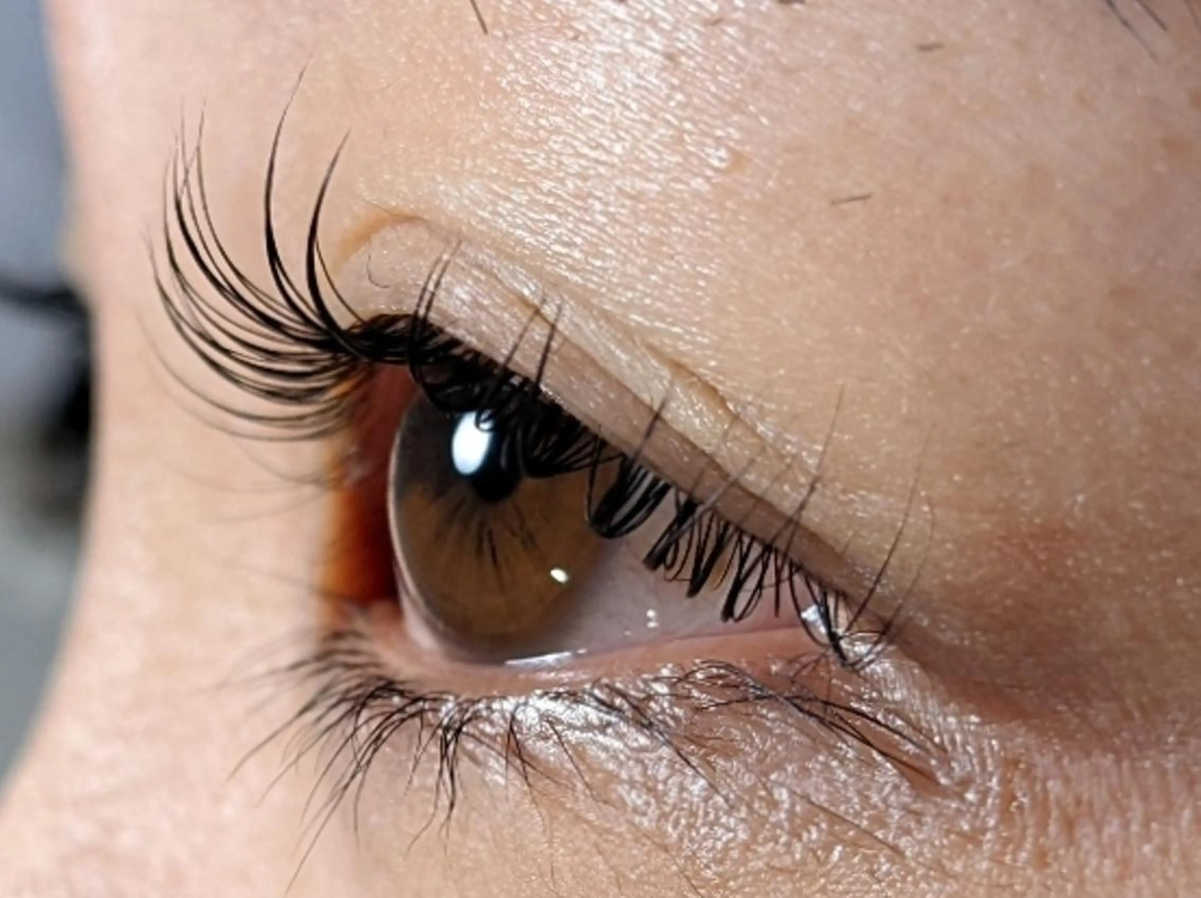 マツエク・マツパ まつげパーマ いしはら くにこのマツエク・マツパデザイン