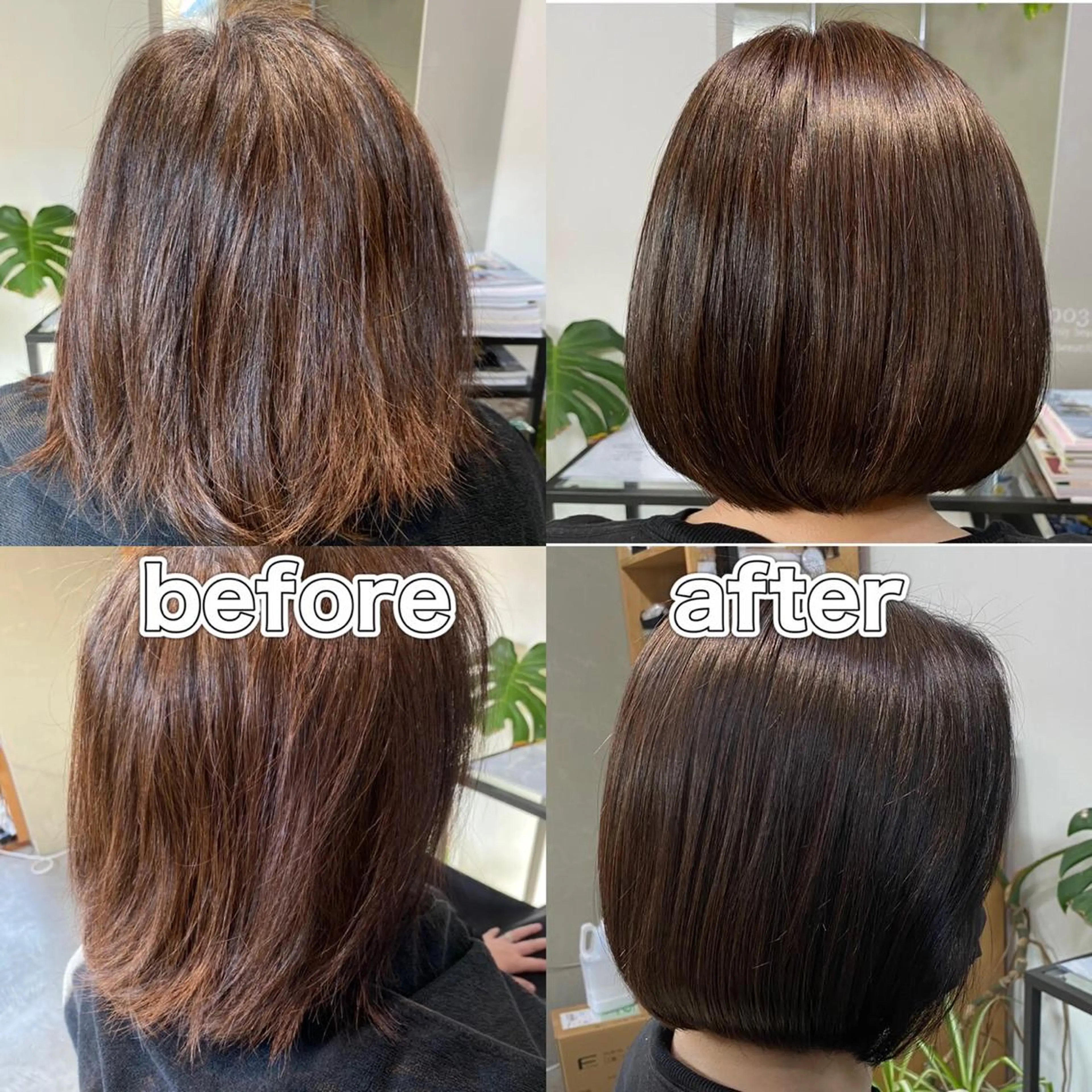 ショート カラー カット ヘアカラー トリートメント ヘッドスパ メルクヘアー 中澤のヘアスタイル