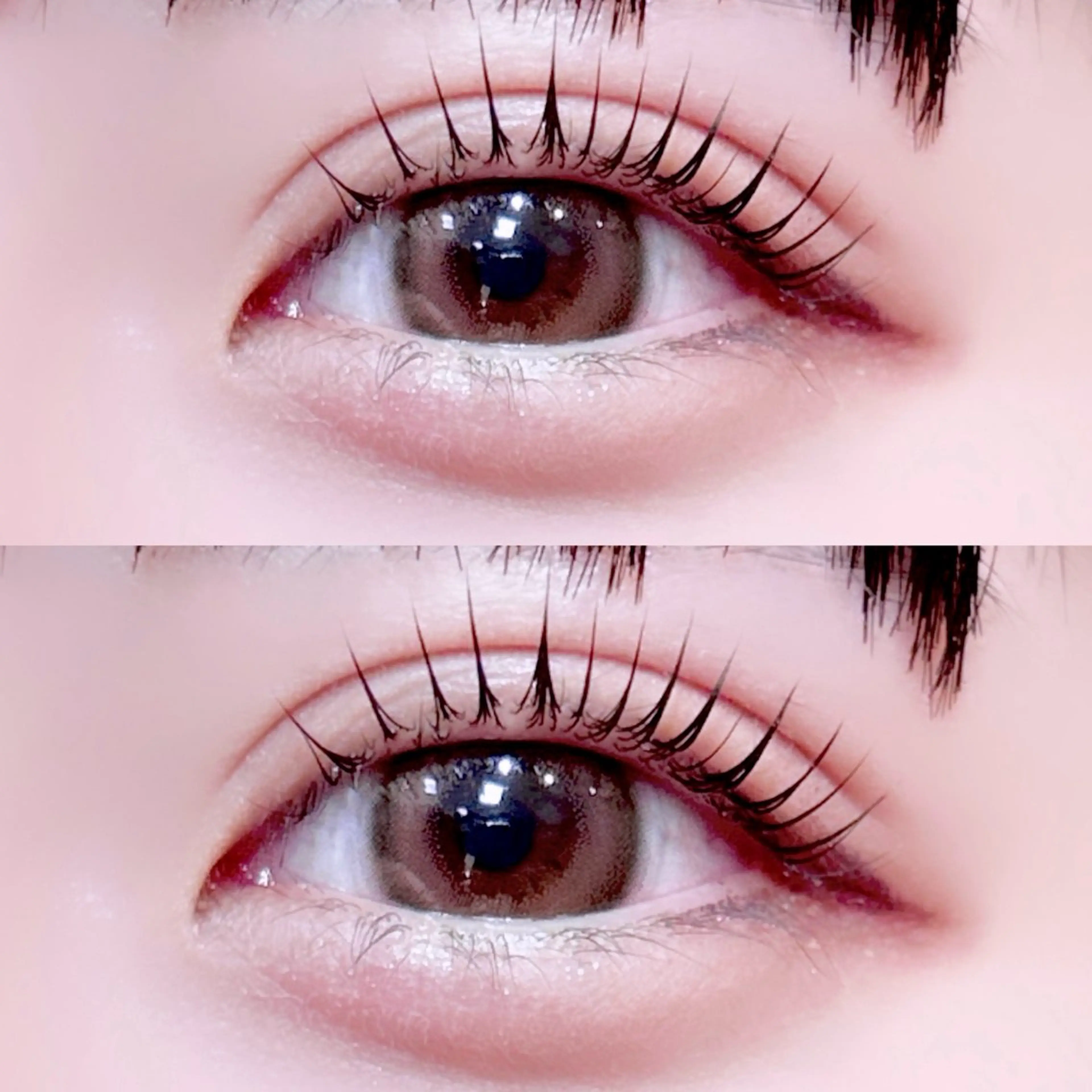 マツエク・マツパ アルターエクラ 西川のマツエク・マツパデザイン