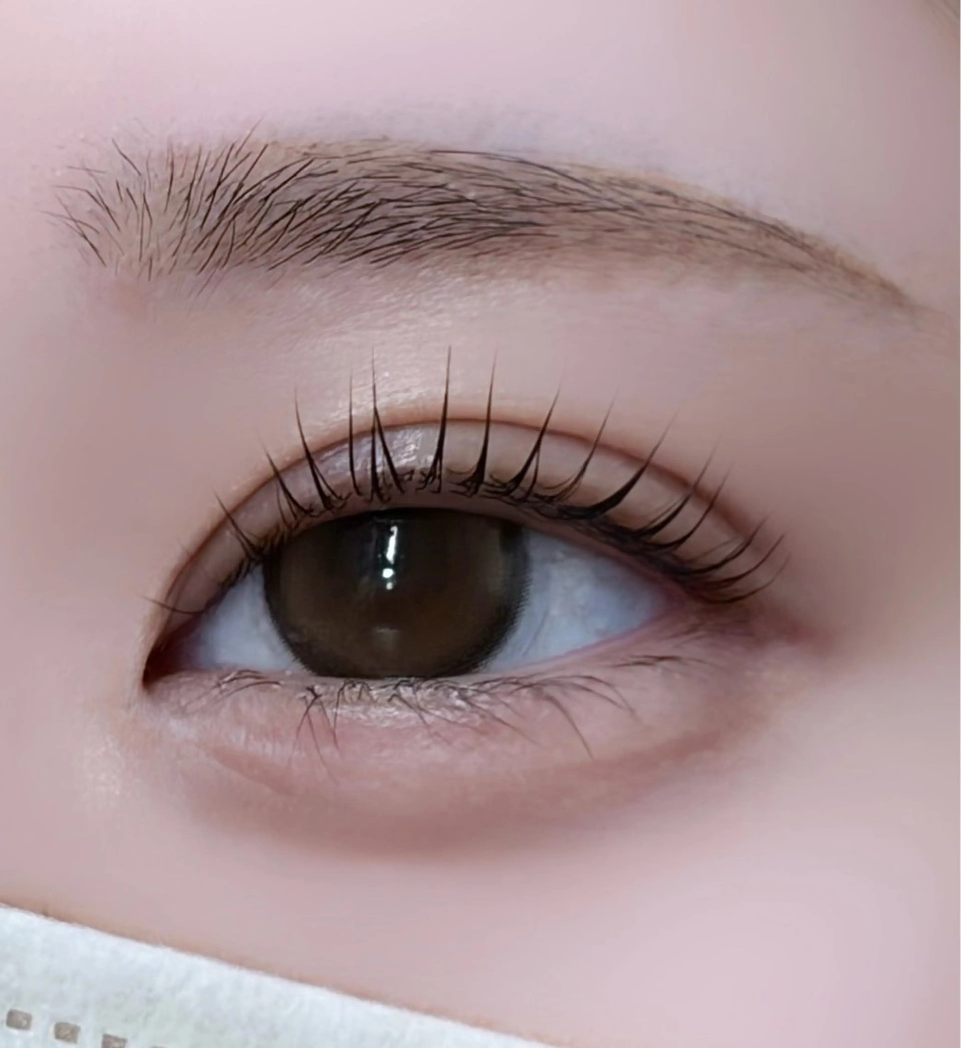 まつ毛パーマ練習モデルの写真