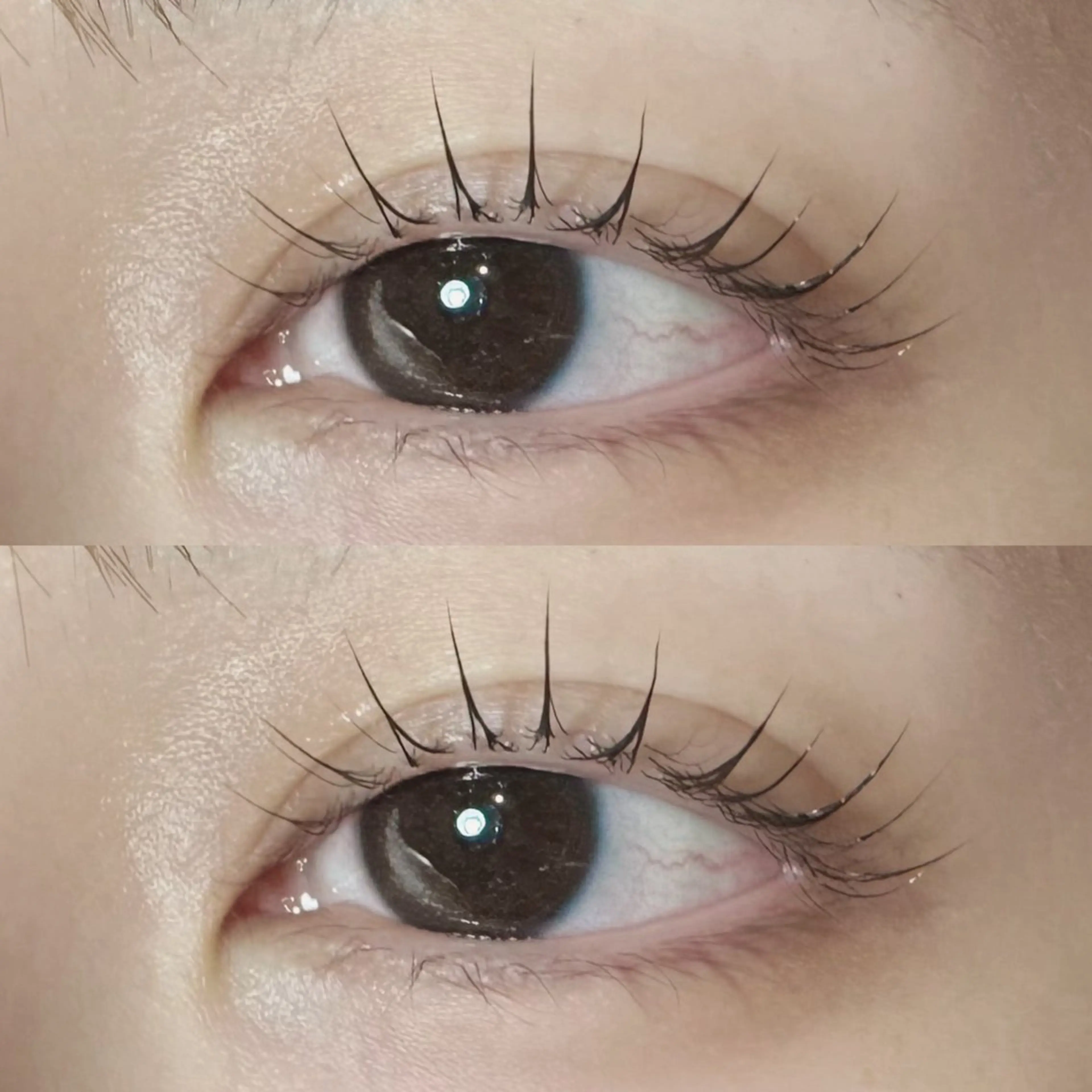 マツエク・マツパ 束感まつ毛 パリジェンヌラッシュリフト ワンホンマツエク マツパ Stella 石井のマツエク・マツパデザイン