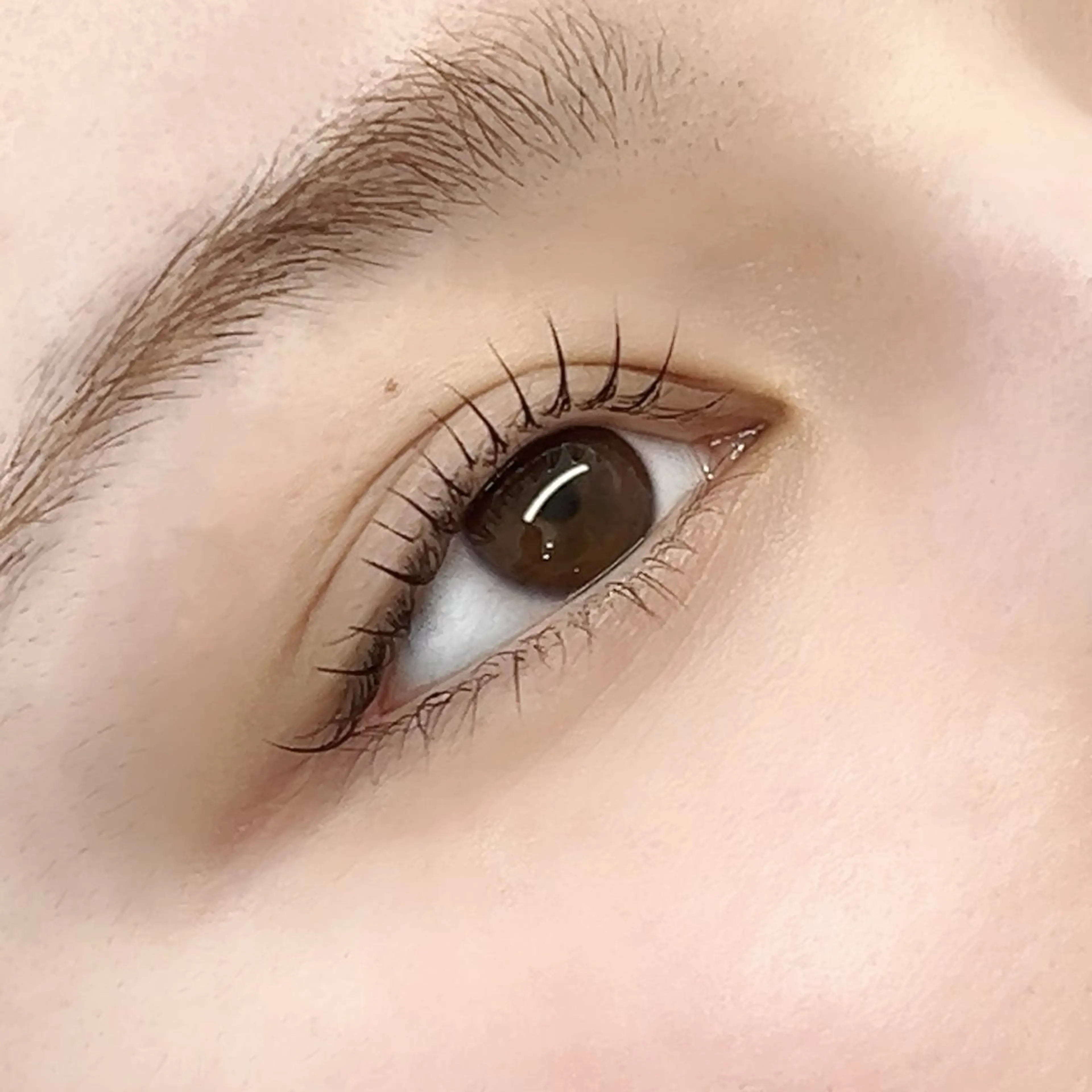 マツエク・マツパ マツパ Lian所属・【Lian】 らん🦋の眉毛・アイブロウイメージ