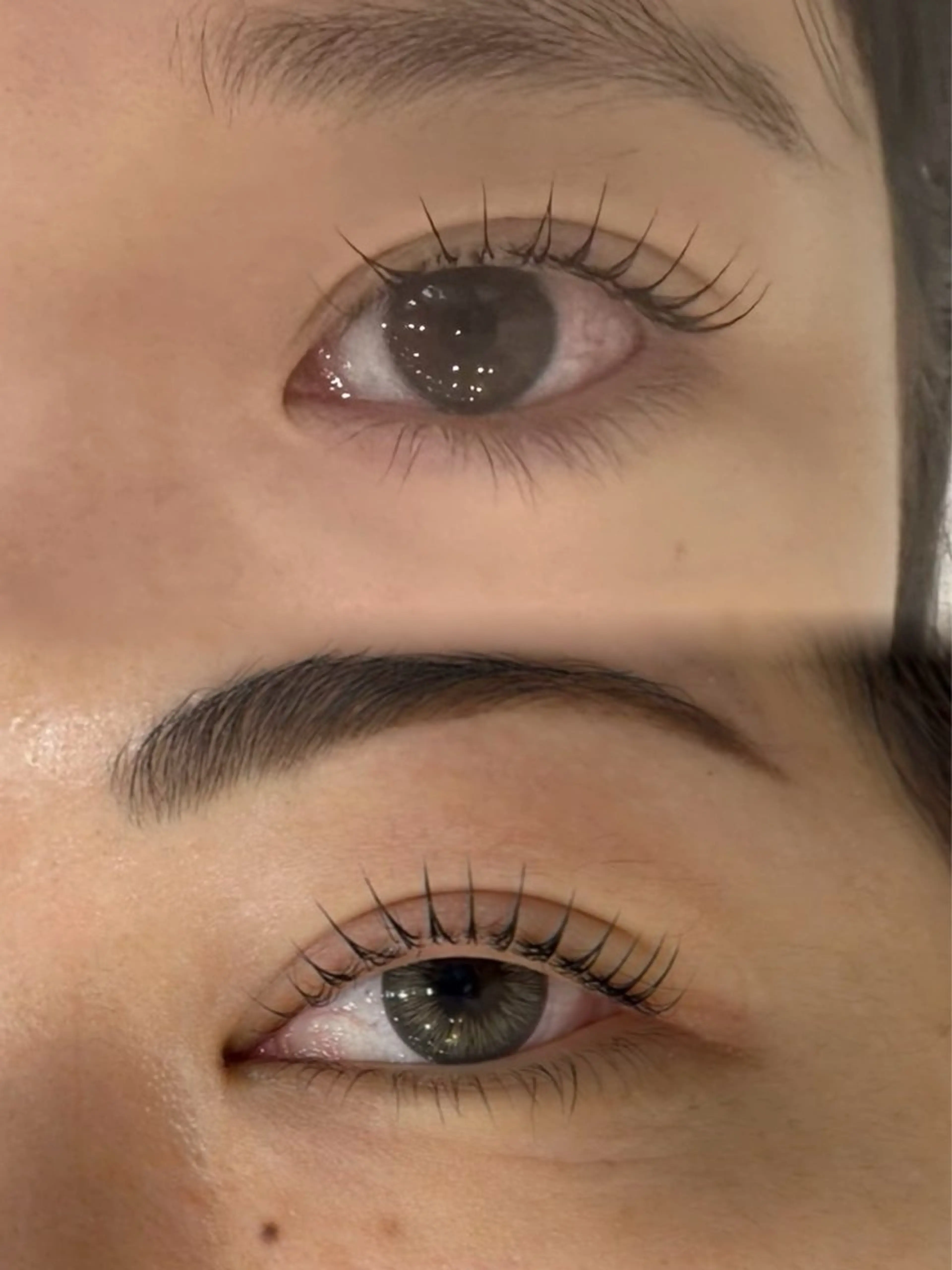 マツエク・マツパ マリーテレジア🌼 サラのマツエク・マツパデザイン