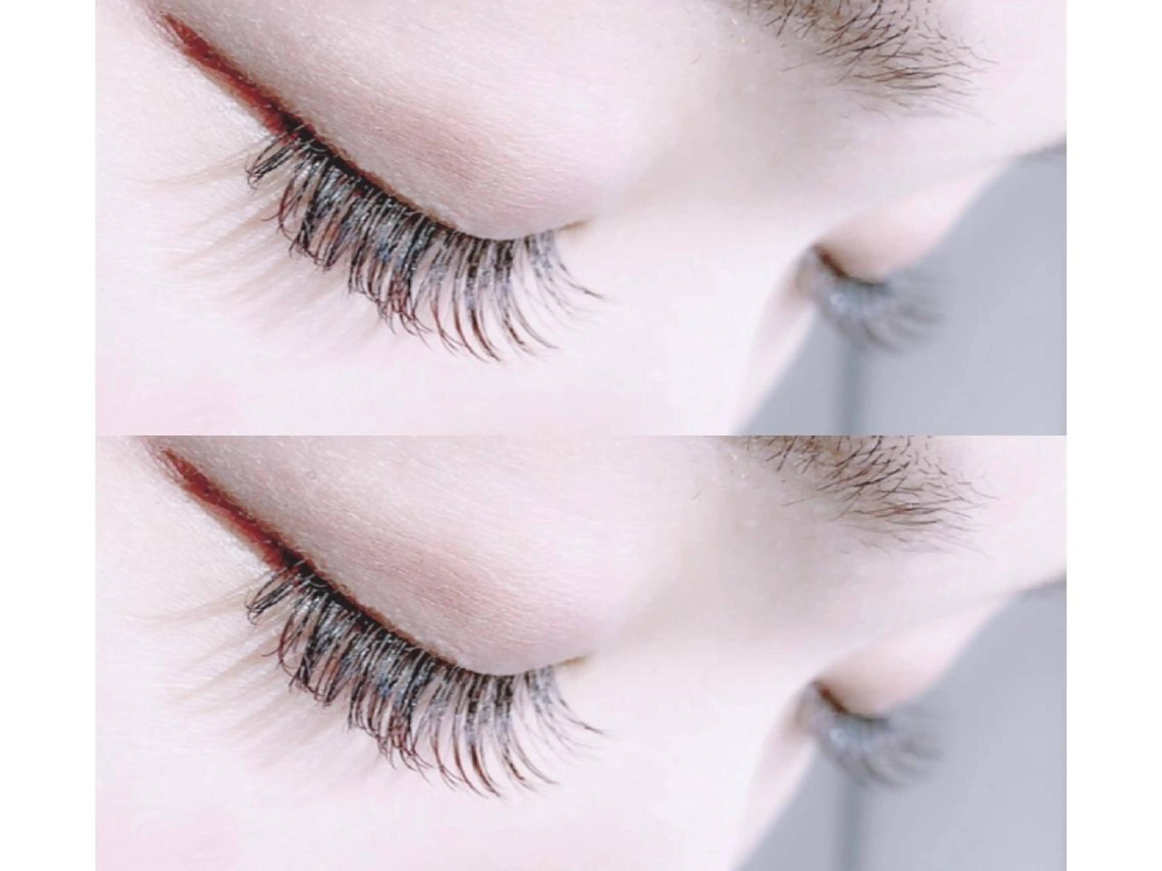 《 セーブル 》100本 ♡の写真