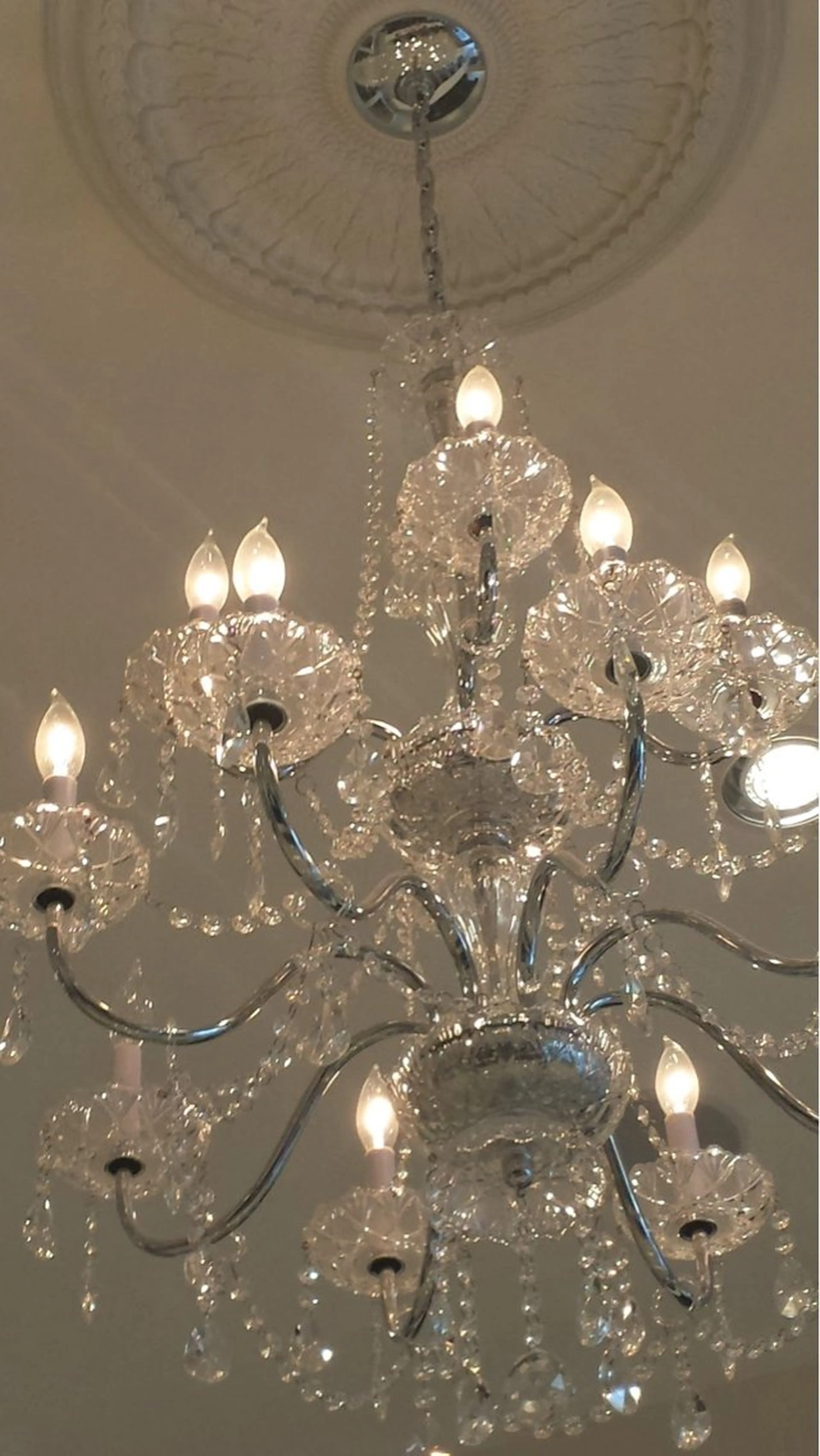 ネイル MIKI🍑 .のネイルデザイン