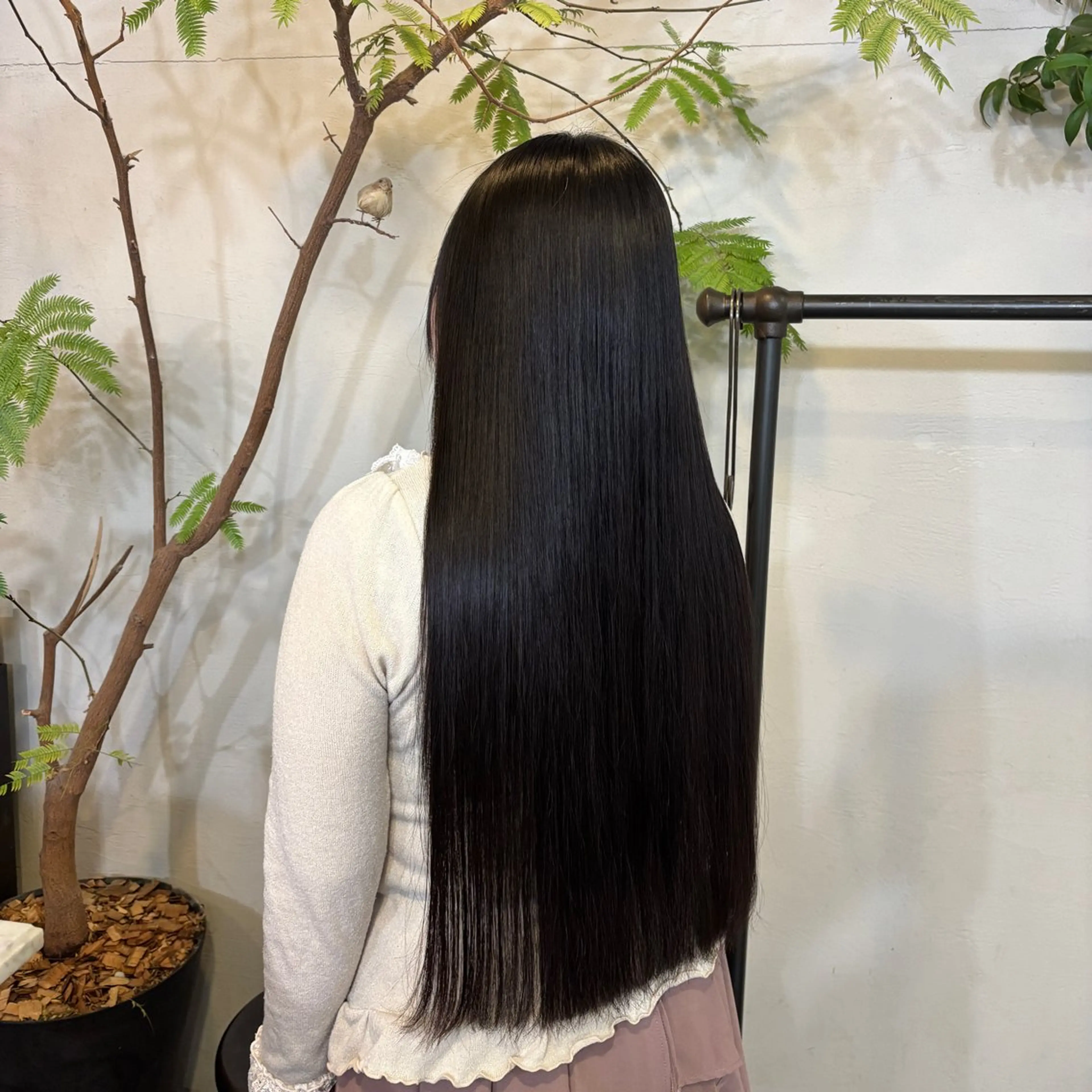 ストレートパーマの写真