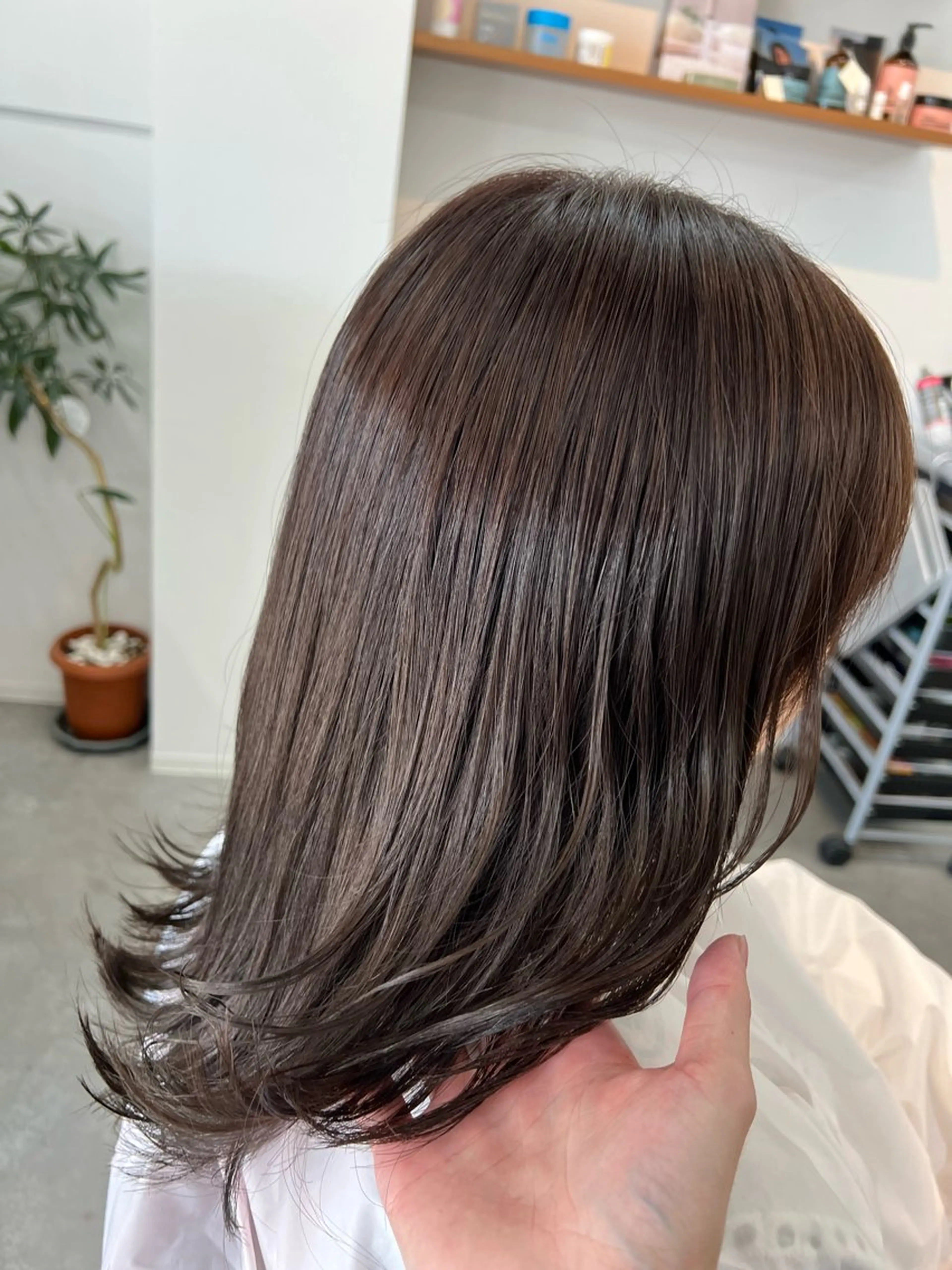 ミディアム 前 侃太のヘアスタイル