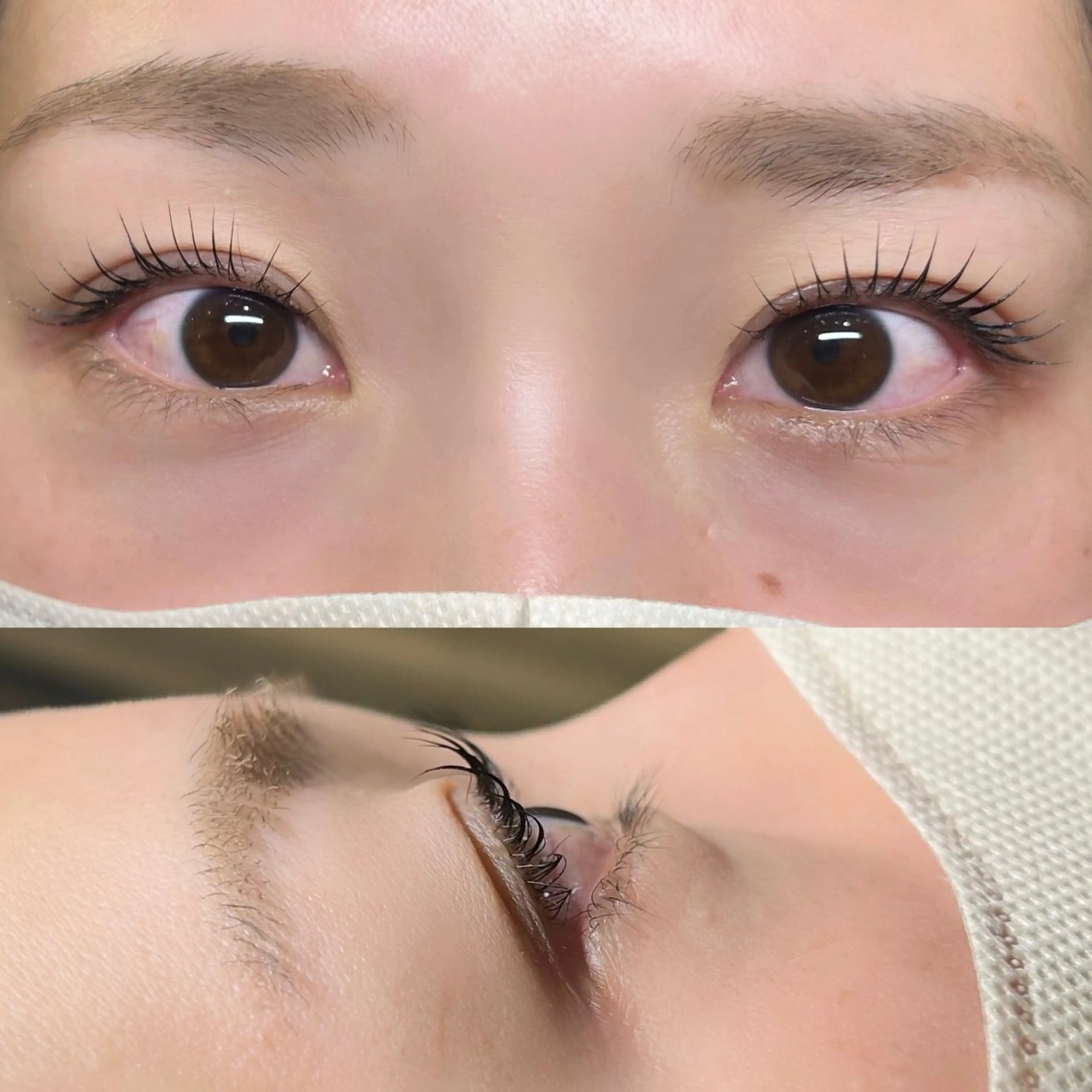 マツエク・マツパ まほ  平野/ 長吉六反/喜連瓜破のマツエク・マツパデザイン