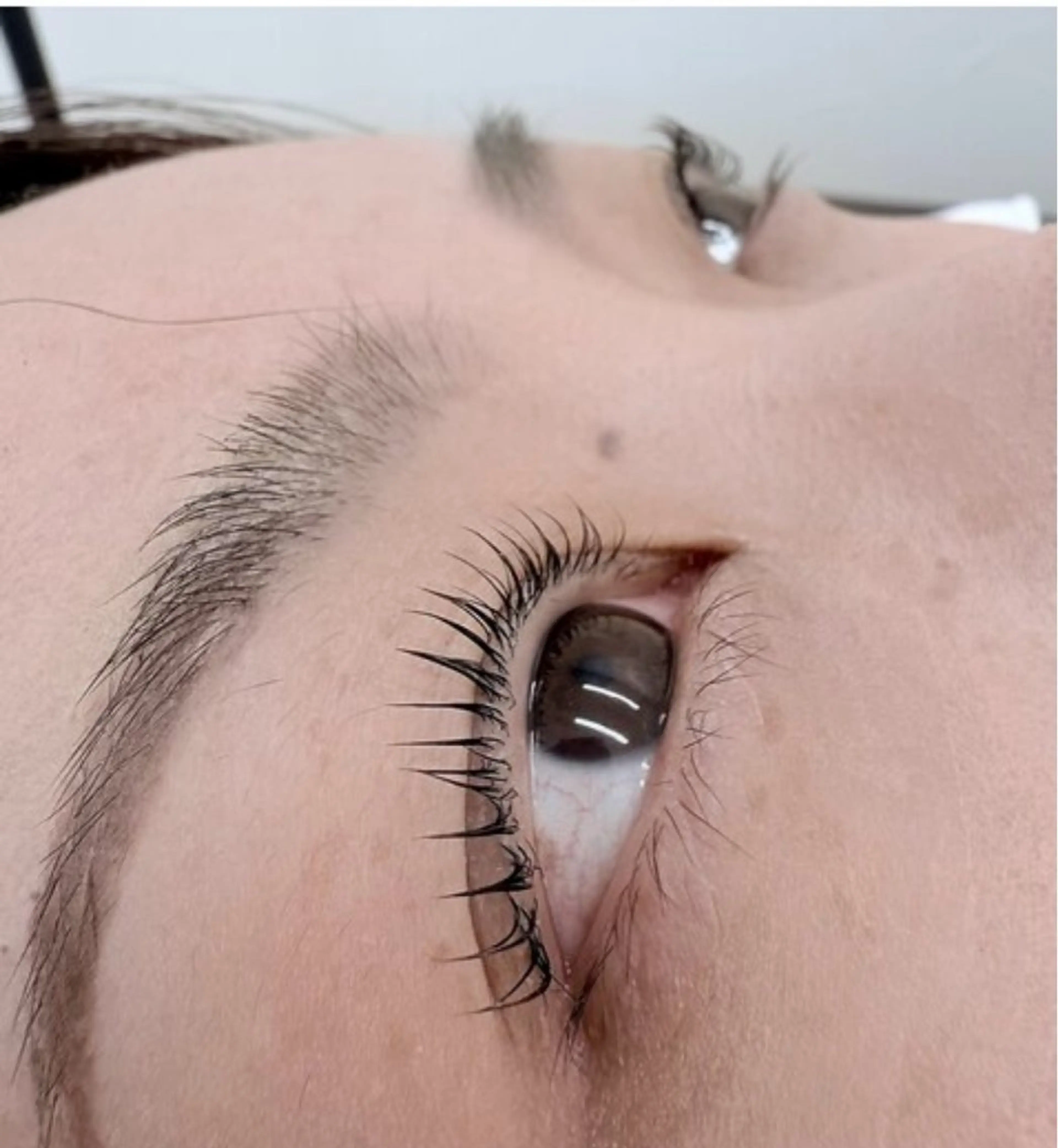 新人キャンペーン 次世代まつ毛パーマ コーティング付きの写真